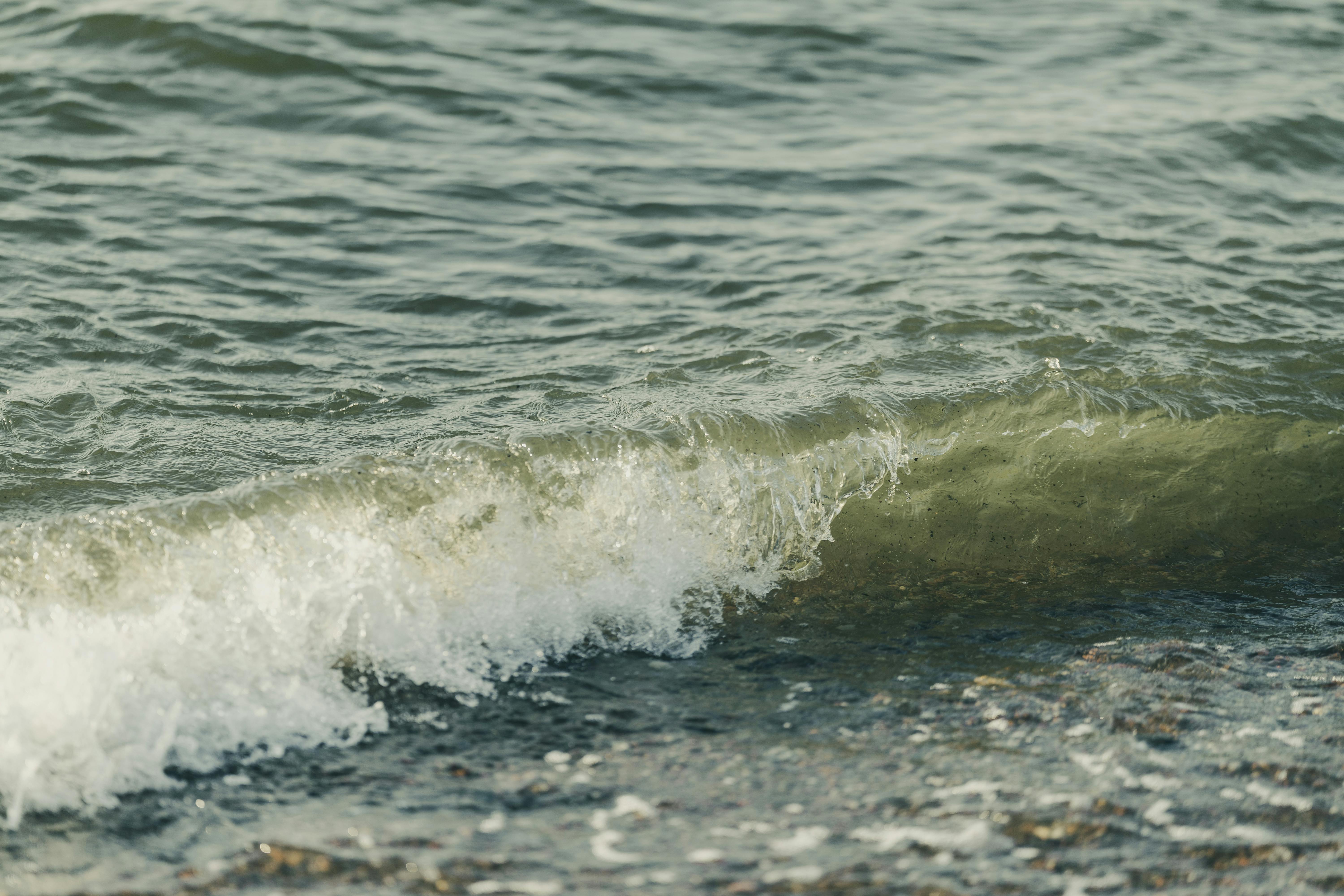 бесплатная В Калининграде, Россия, спокойная волна мягко разбивается о скалистый берег в тихих, зеленоватых водах. Стоковое фото