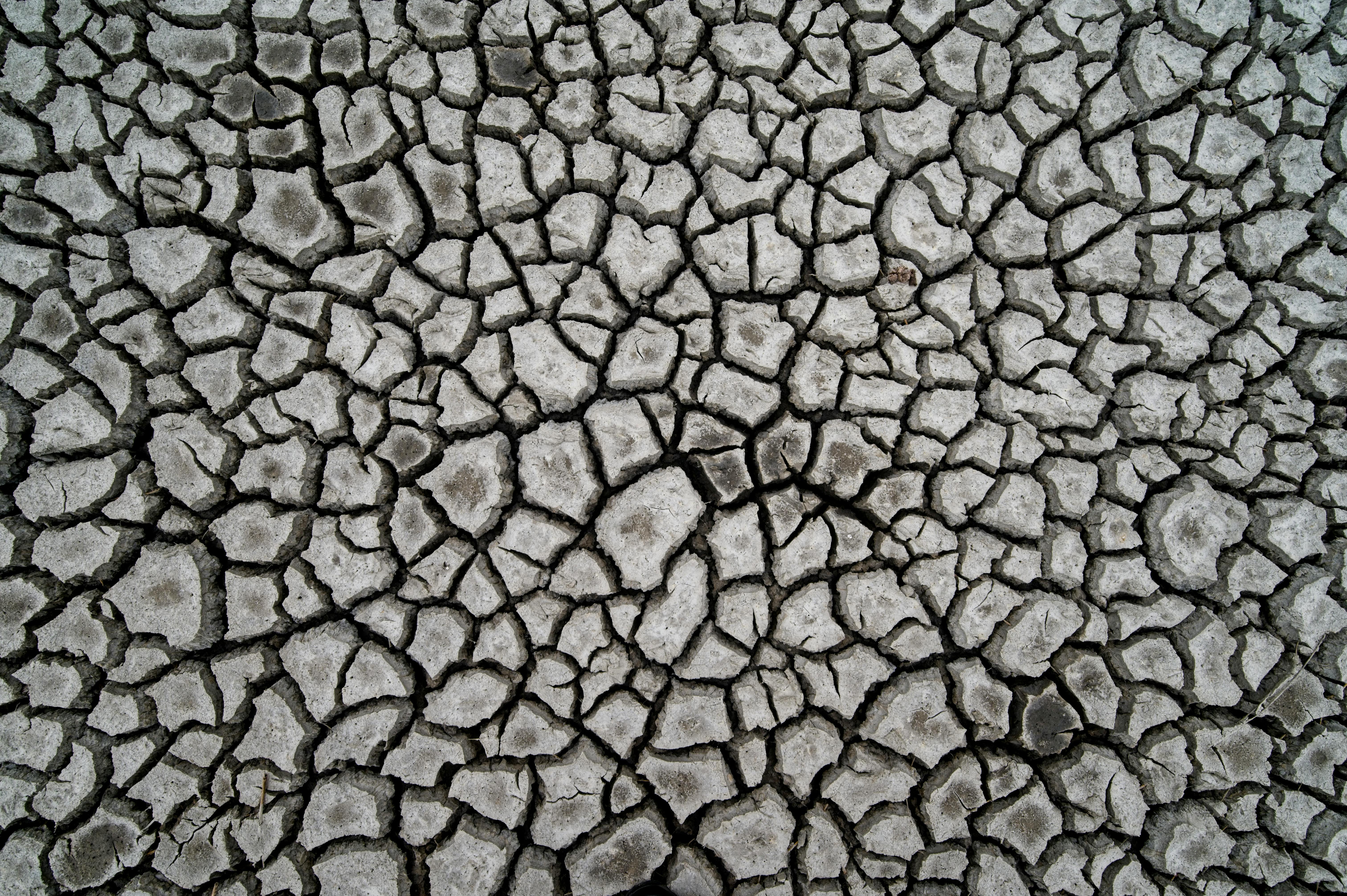 Безкоштовне стокове фото на тему «@outdoor, schiermonnikoog, бочкове пиво» стокове фото