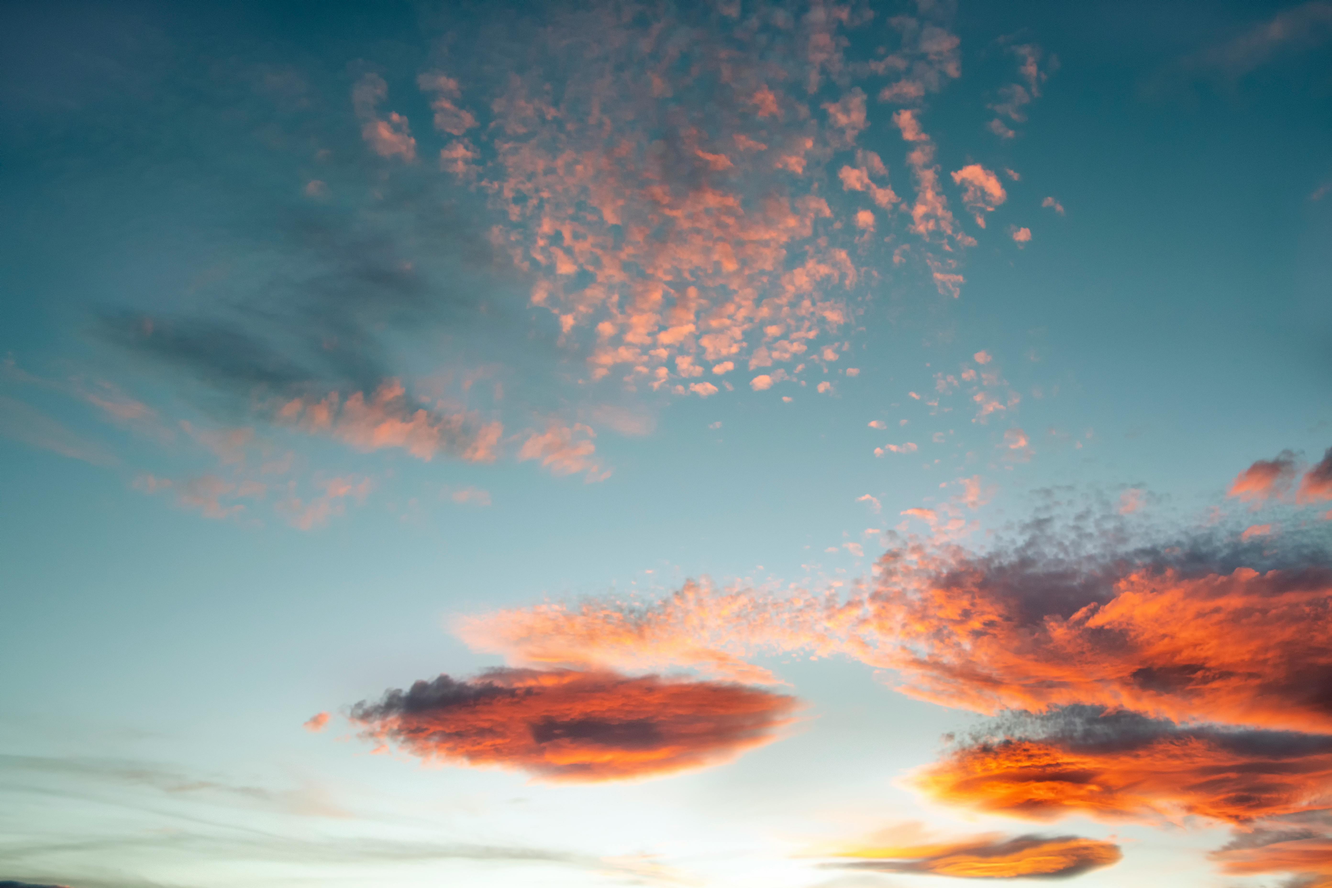 De franc Foto d'estoc gratuïta de ambient, bellesa, bellesa natural Foto d'estoc