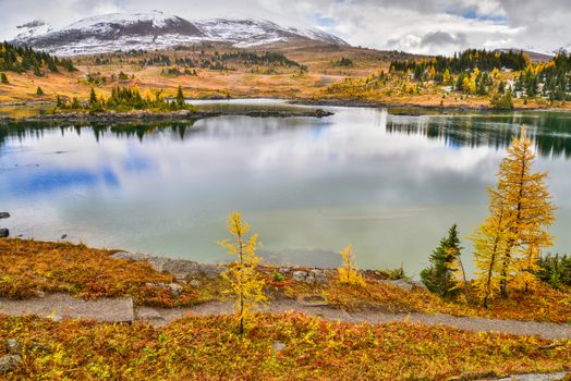 Serene autumn lake in Banff National Park, showcasing vibrant foliage reflected in pristine waters.