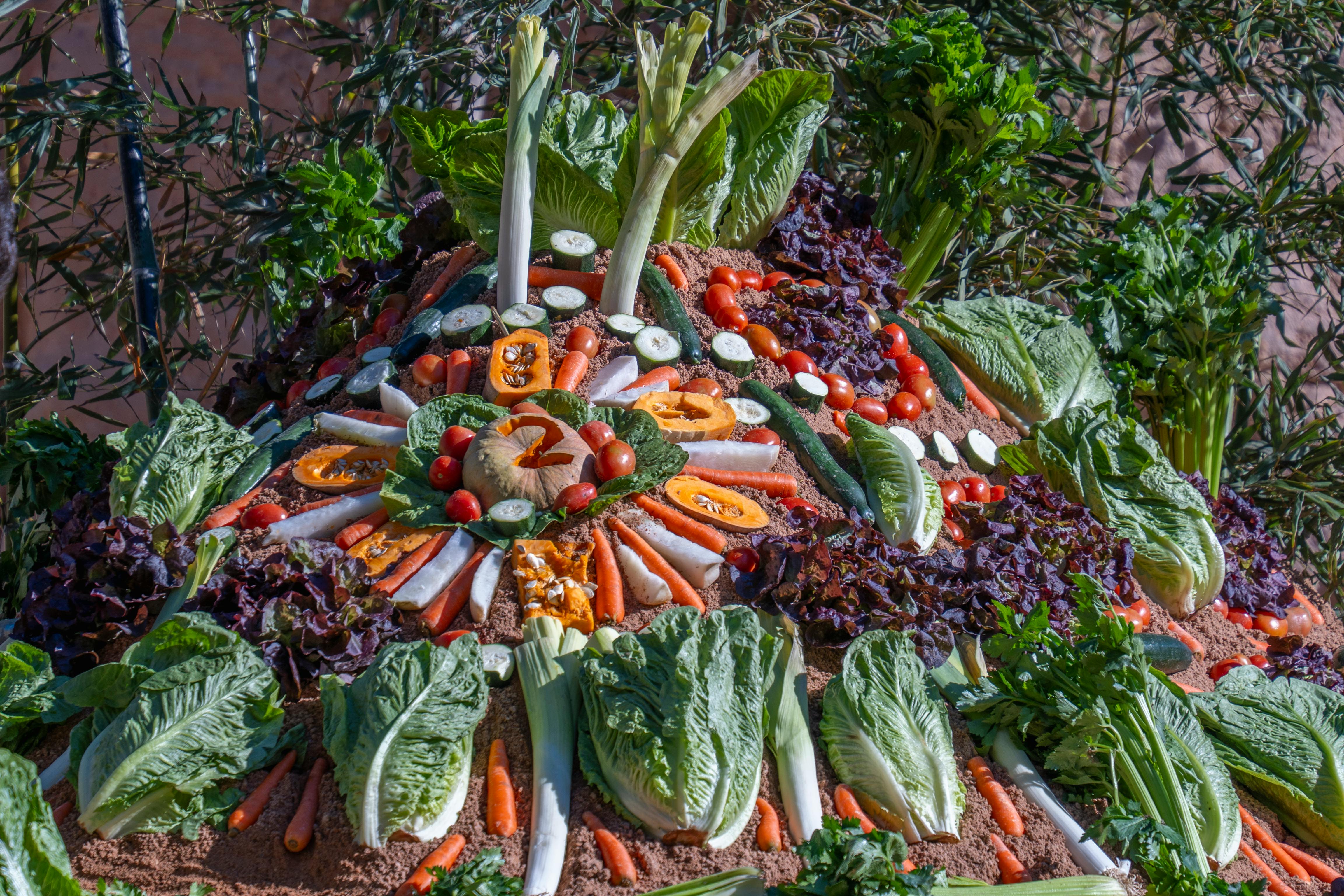 Gratuit Aranjament vibrant de legume proaspete în aer liber în Valencia, Spania, prezentând produse locale. Fotografie de stoc