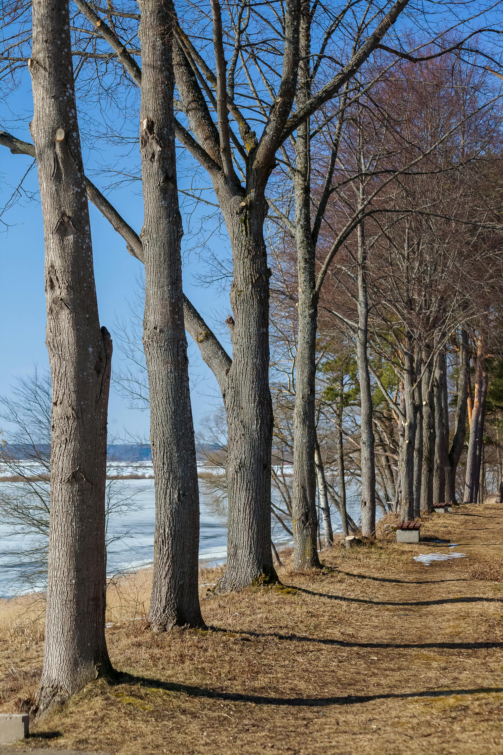 ฟรี คลังภาพถ่ายฟรี ของ กลางแจ้ง, การตั้งค่าธรรมชาติ, การเปลี่ยนฤดูกาล คลังภาพถ่าย