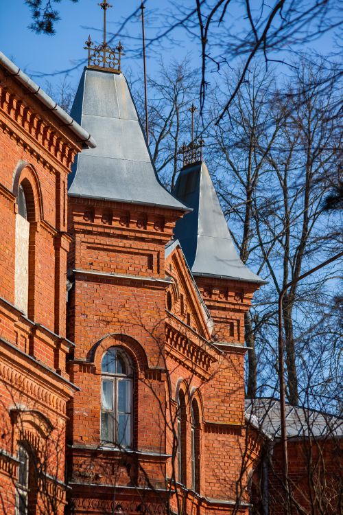 Free A historic red brick building with gothic architectural features and trees in winter. Stock Photo
