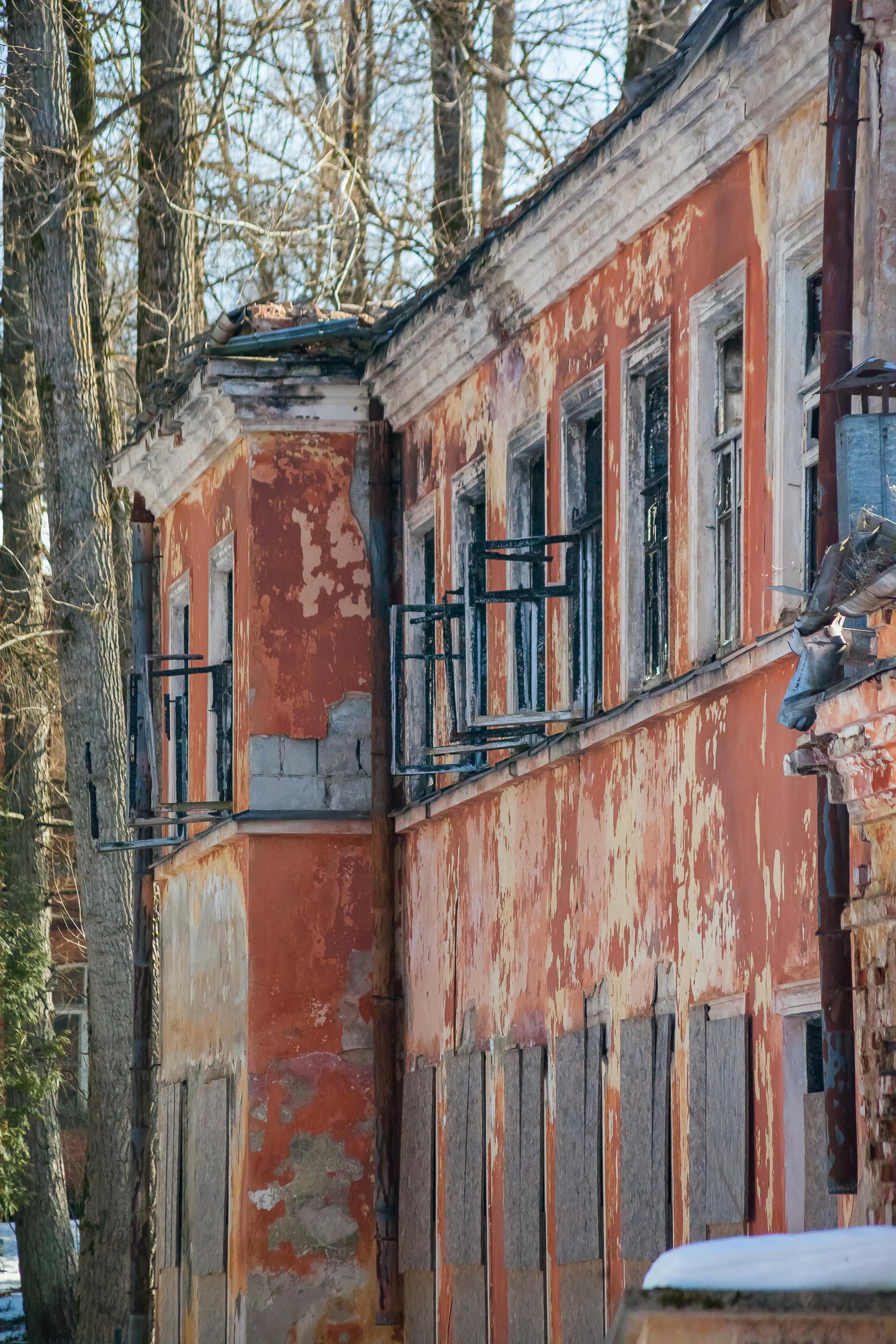 免費 冬季, 冬季景觀, 剝漆 的 免費圖庫相片 圖庫相片