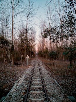 秋天，宁静的铁路轨道穿过光秃秃的树林，四周环绕着自然风光