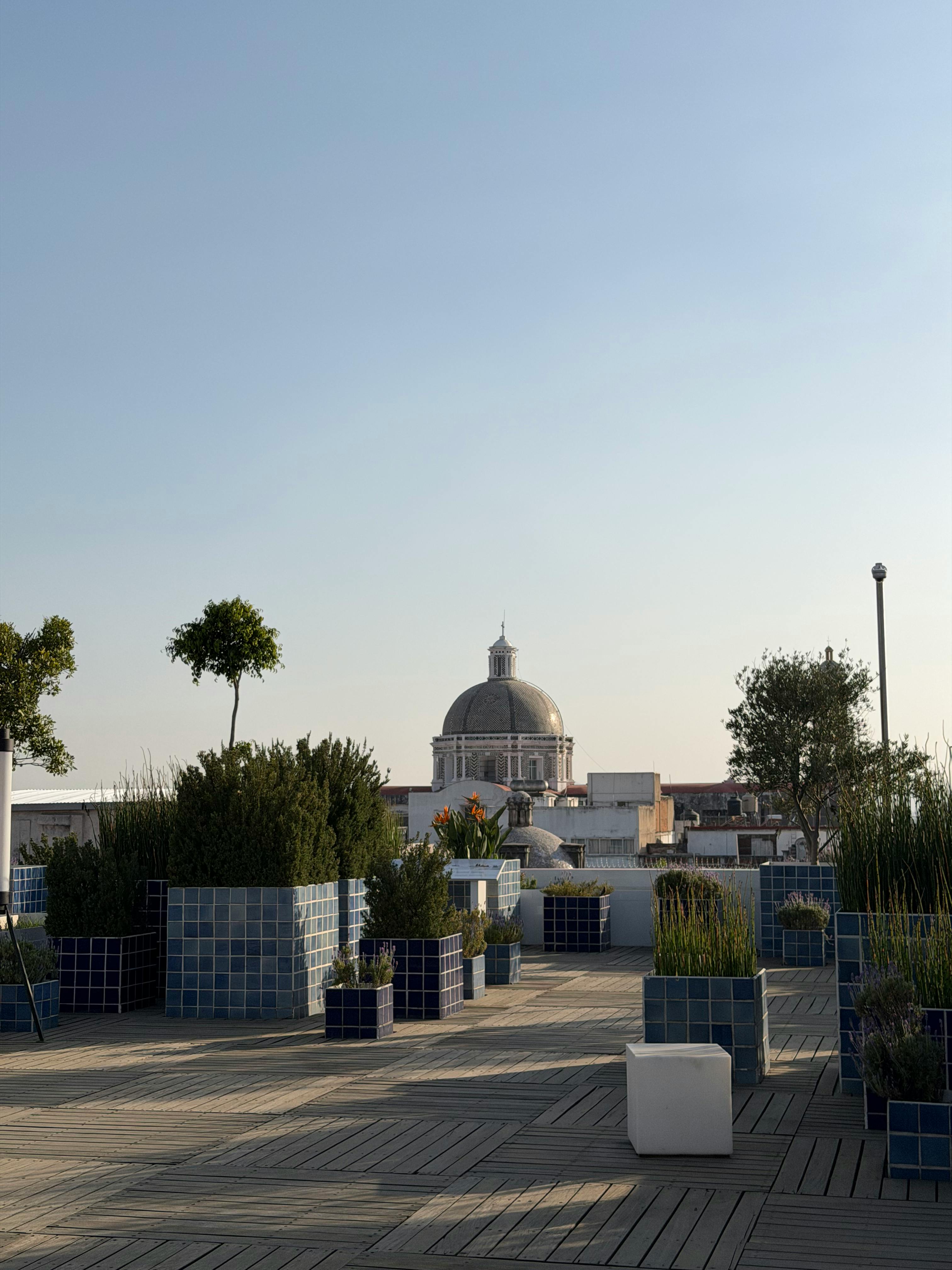 Gratis Vista dal giardino pensile sul tetto con l'iconica cupola di Puebla sotto un cielo limpido. Foto a disposizione
