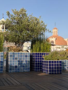 Rooftop garden in Puebla, Mexico, featuring blue tiled planters and lush greenery against a church backdrop.