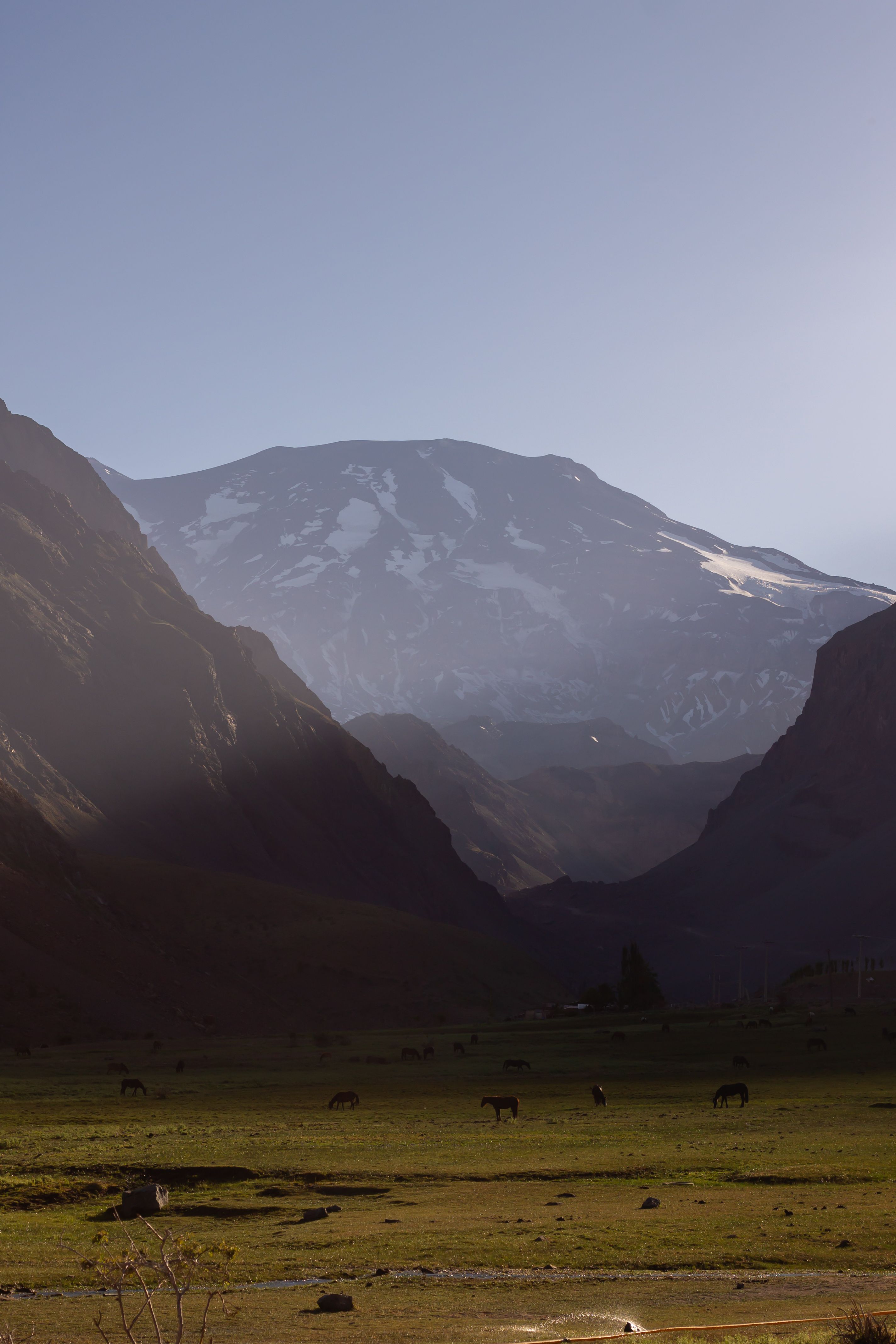 Scenic view of the Andean mountains and green valley in Chile with grazing cattle.