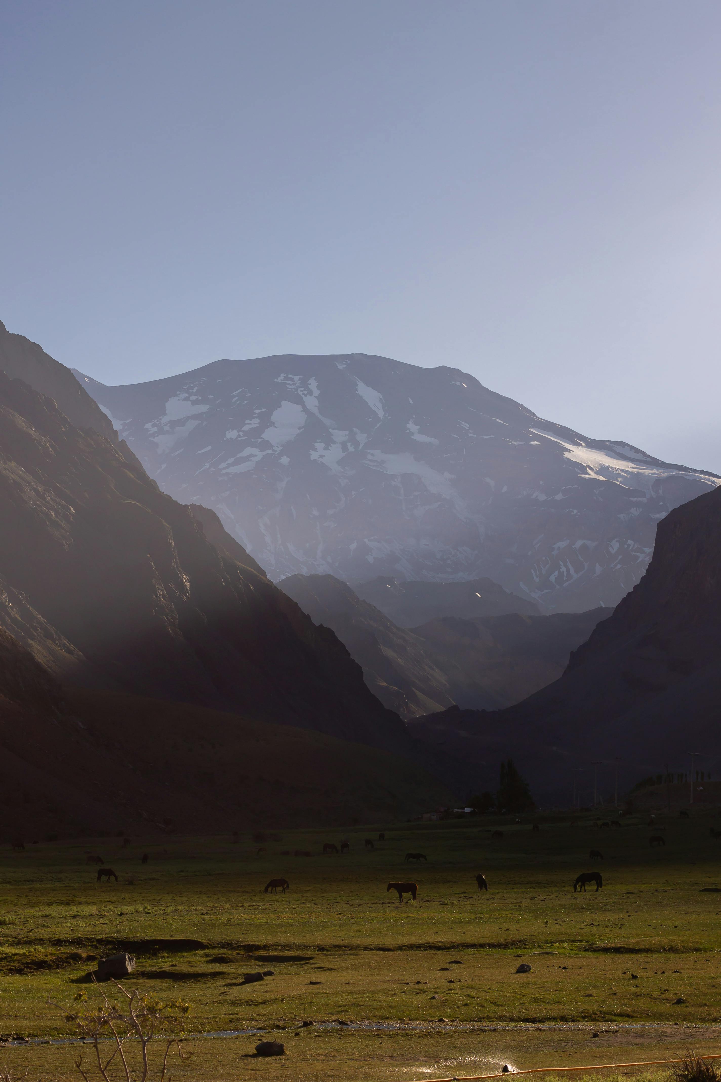 Gratis Vista panoramica delle Ande e della verde vallata cilena con bestiame al pascolo. Foto a disposizione