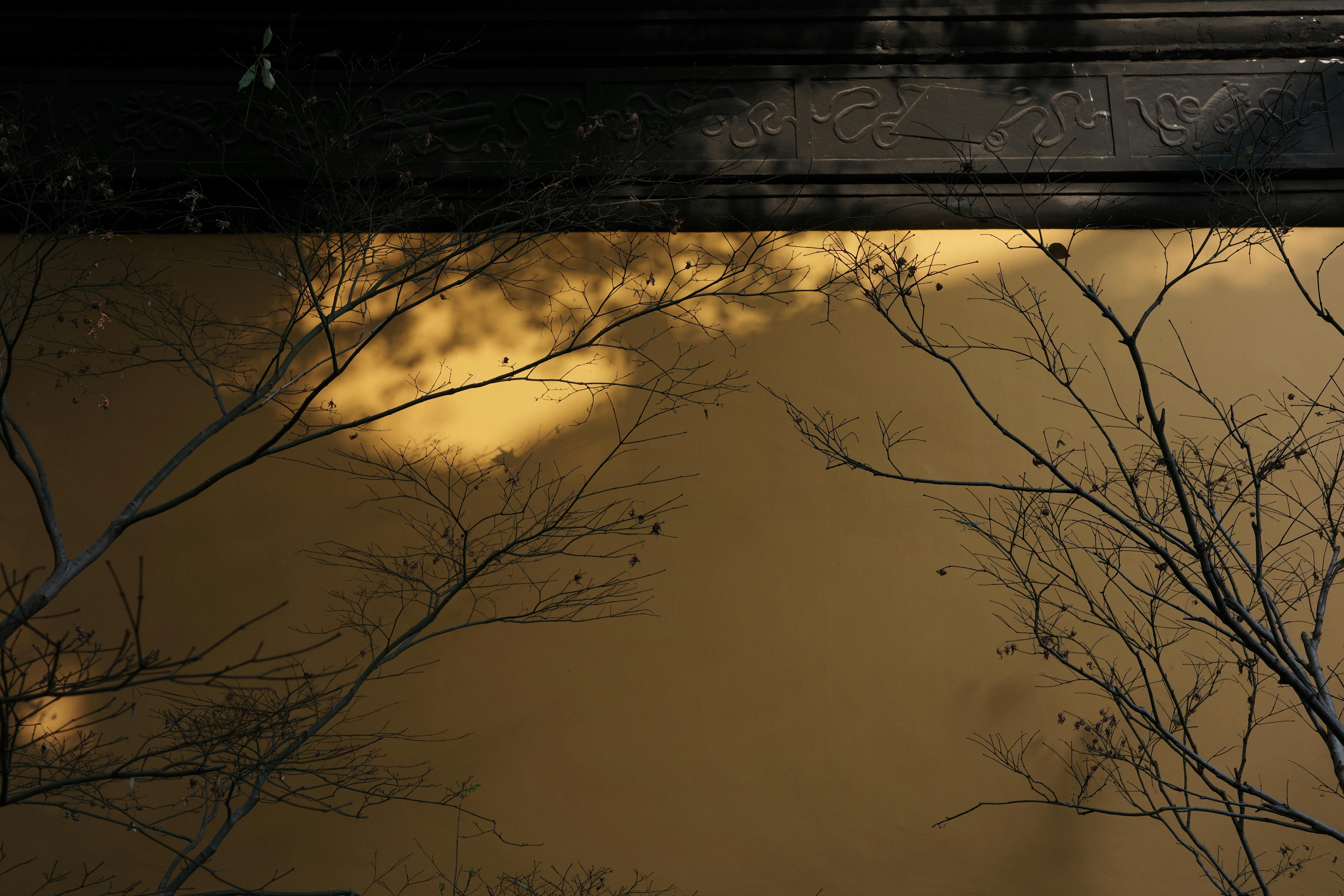 Gratis lagerfoto af æstetisk, arkitektur, årstidsbestemt Lagerfoto