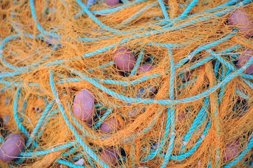 Blue and Pink Egg on Blue and Brown Rope