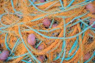 Blue and Pink Egg on Blue and Brown Rope