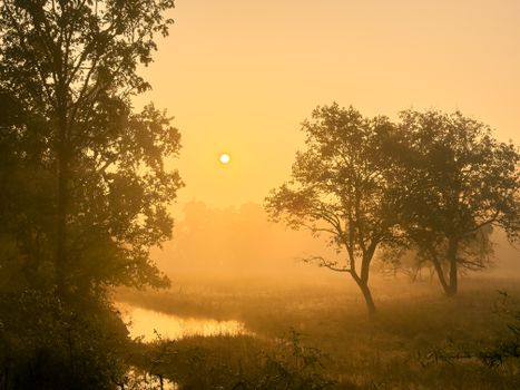 Golden sunrise illuminates a misty meadow with silhouetted trees, creating a peaceful and atmospheric scene.