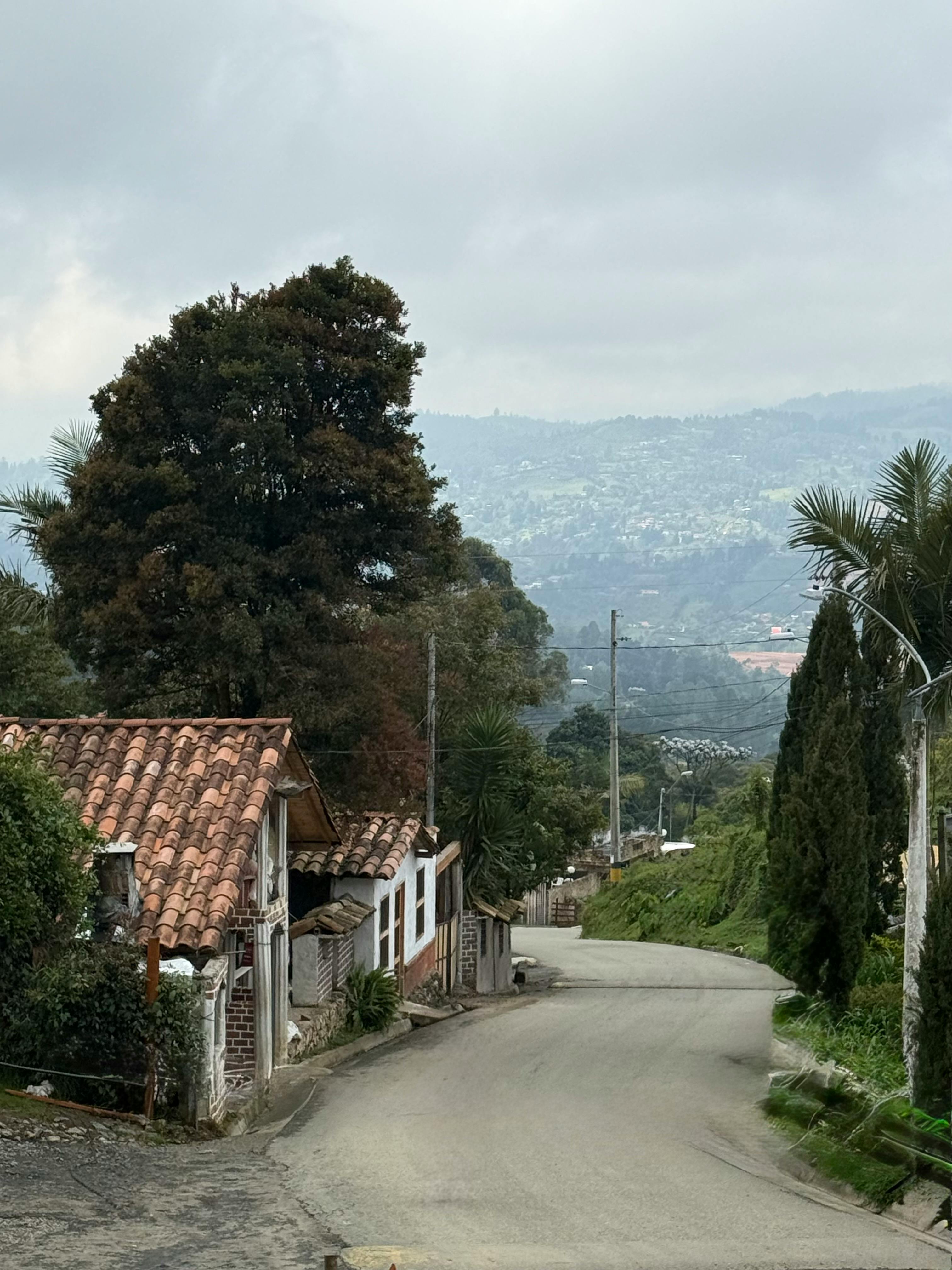Gratis Una tranquilla strada rurale fiancheggiata da case tradizionali e da una vegetazione lussureggiante, con uno sfondo montuoso. Foto a disposizione
