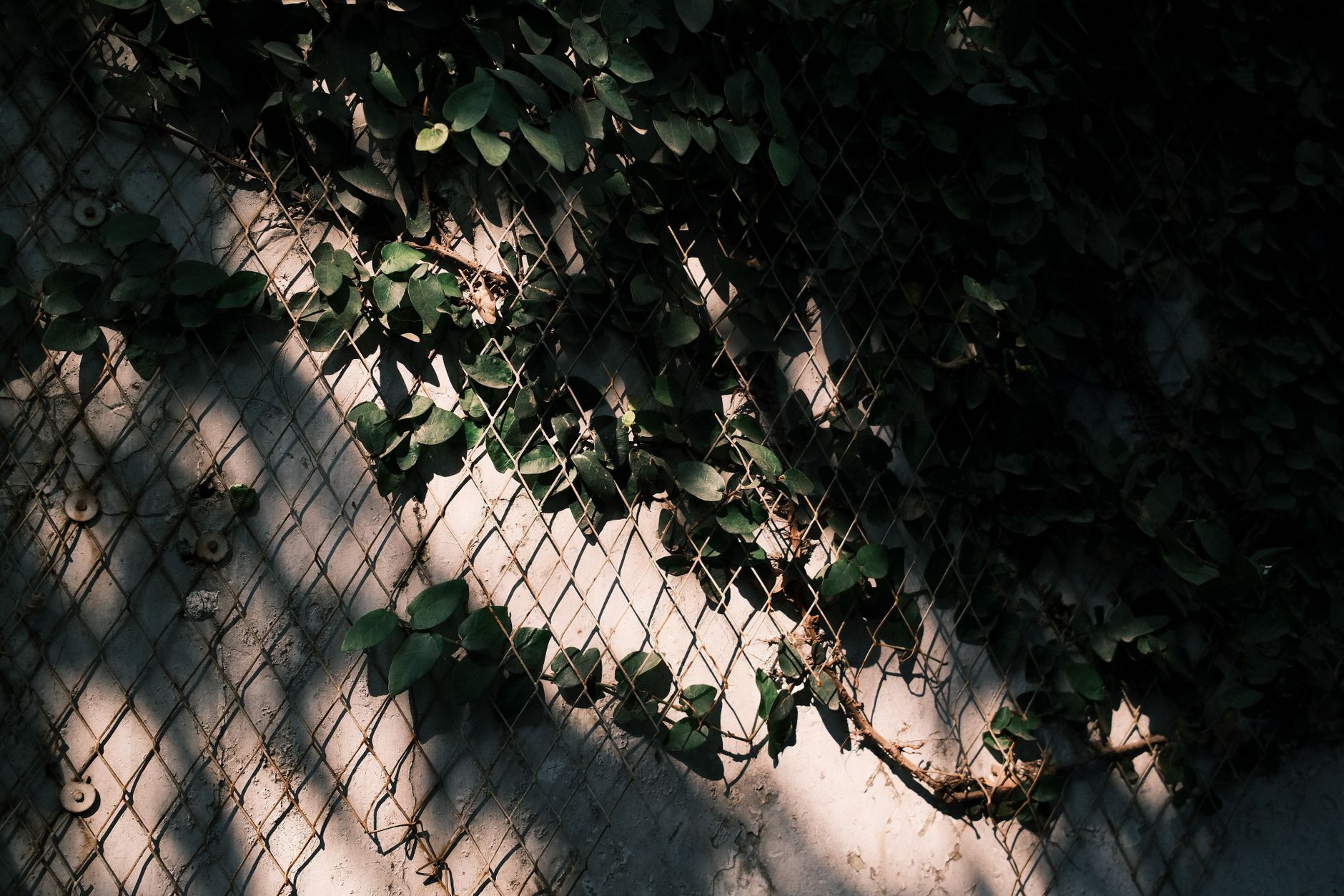Schatten & Muster – Reduziertes Wunderschön Hintergrundbild (von Shaiq Ahmed, 7728×5152, #36557624)