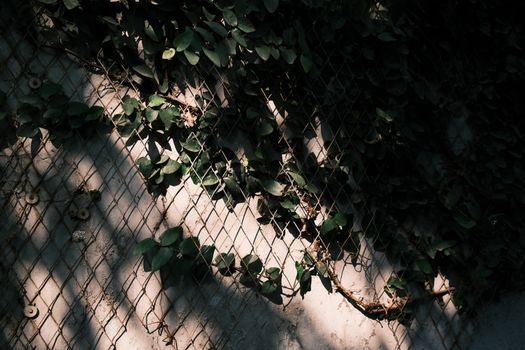 Schatten & Muster – Reduziertes Wunderschön Hintergrundbild (von Shaiq Ahmed, 7728×5152, #36557624)