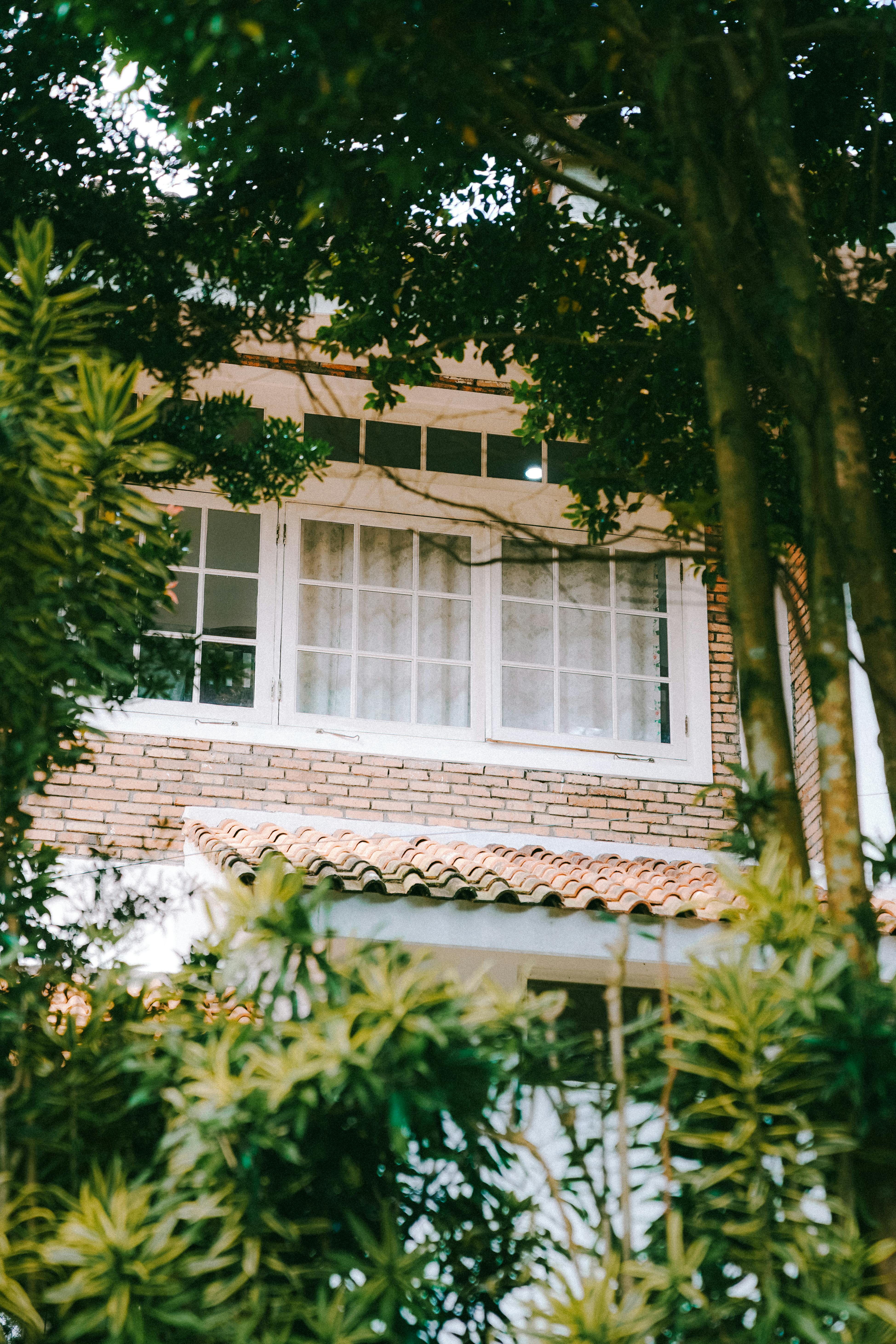 gratis Close-up van een raam van een bakstenen huis, omgeven door weelderig groen in Cisarua, Indonesië. Stockfoto