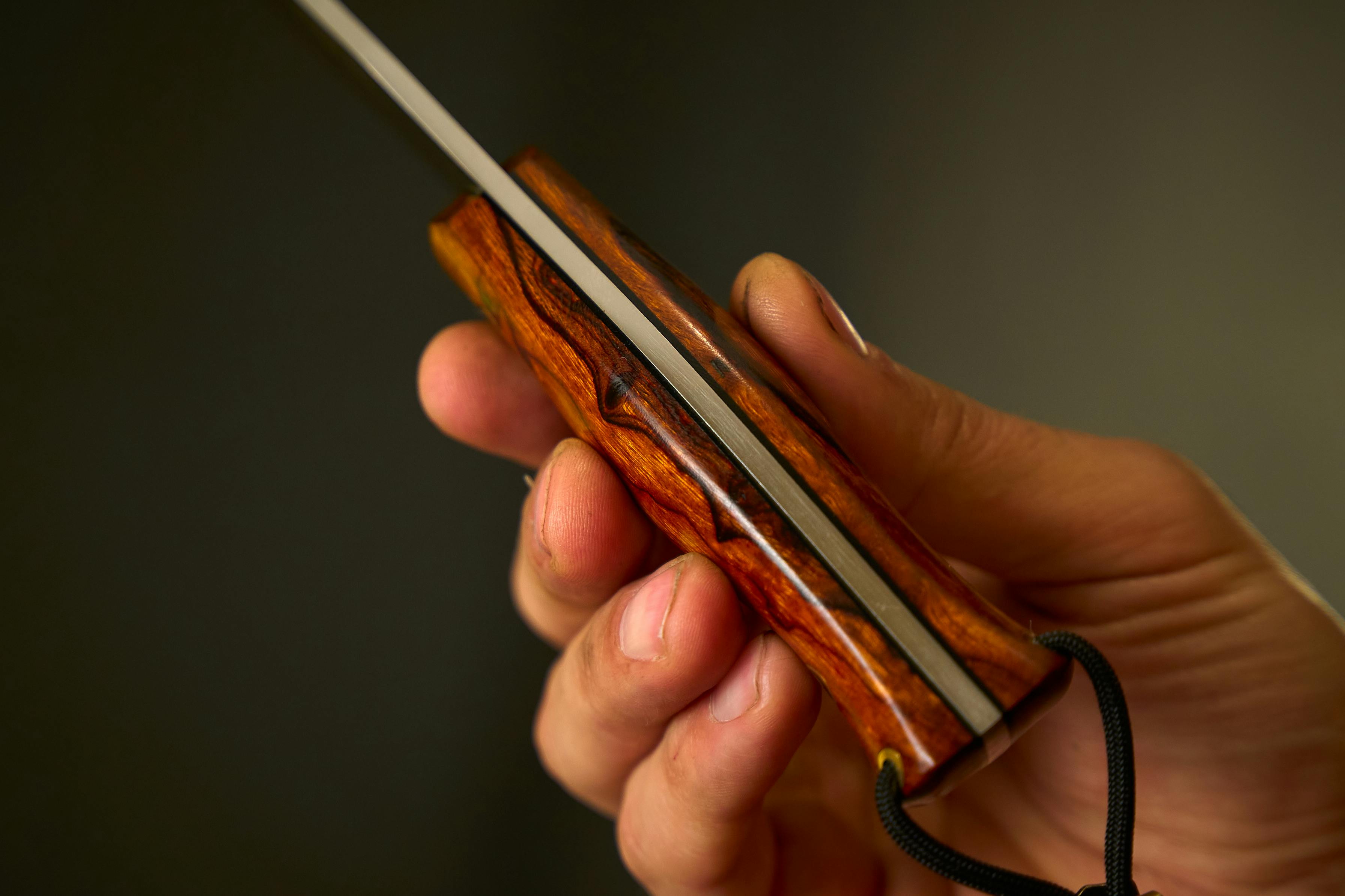 Gratis arkivbilde med @outdoor, bladsmed, brun Arkivbilde