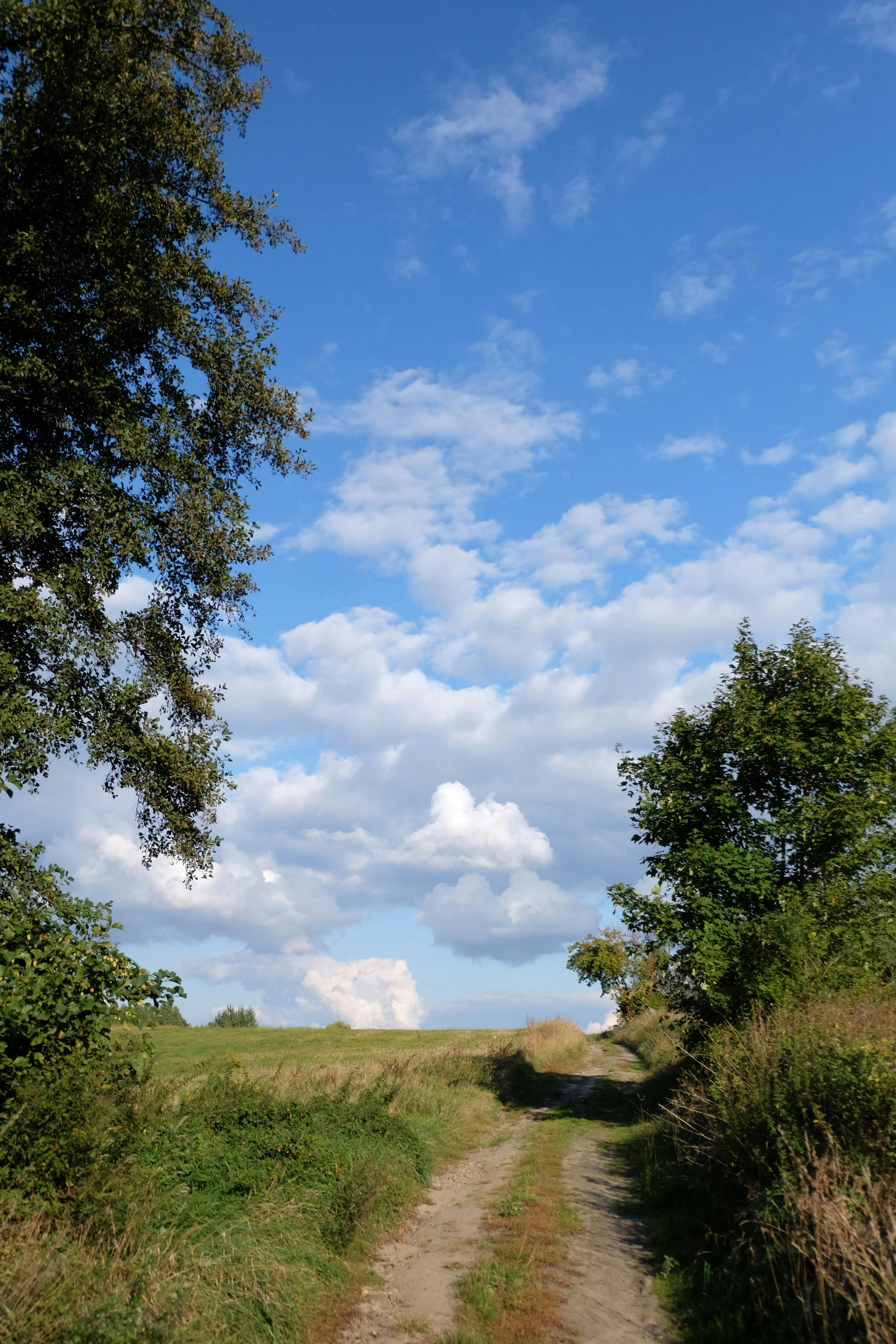 Gratuit O potecă rurală pitorească cu verdeață luxuriantă sub un cer albastru senin cu nori pufoși. Fotografie de stoc