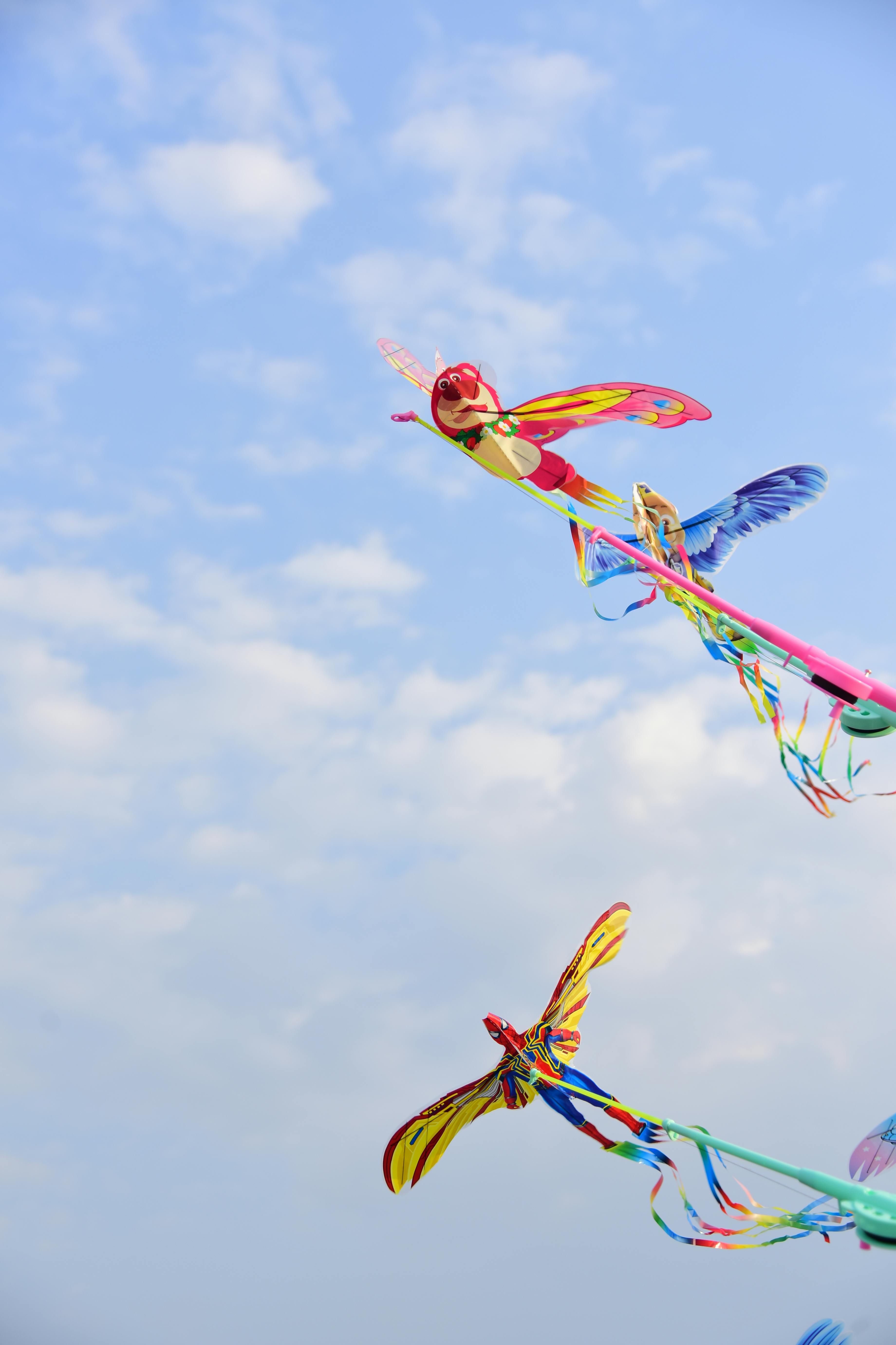 Ücretsiz Hafif rüzgarlı bir günde, berrak mavi gökyüzünde süzülen, canlı renklerdeki kelebek şeklindeki uçurtmalar. Stok Fotoğraflar