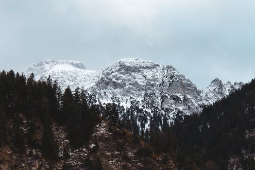 Serene view of snow-capped mountains with a forest foreground in Germany.