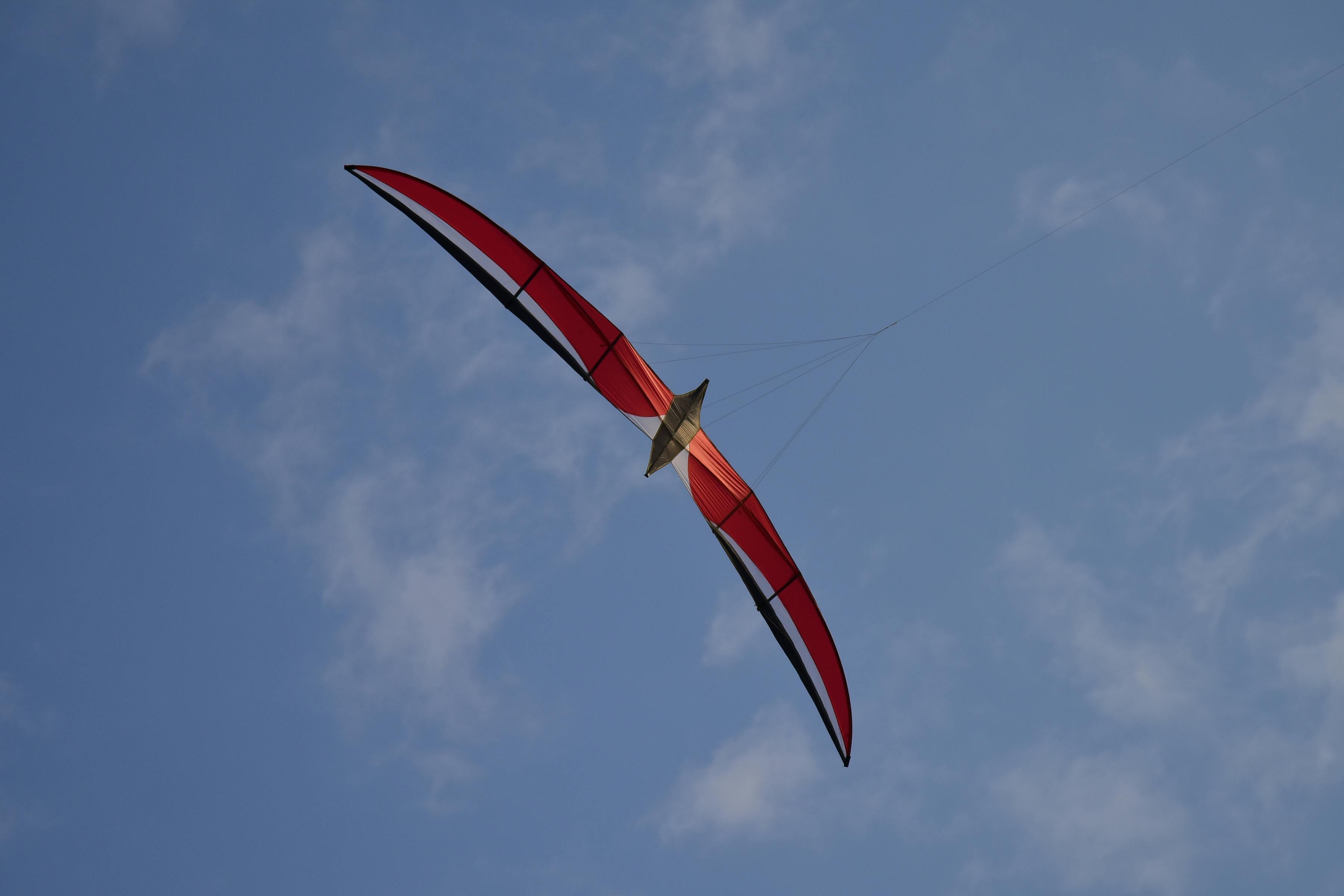 Gratuit Un cerf-volant rouge éclatant plane avec élégance dans le ciel bleu, évoquant la liberté et l'aventure. Photos