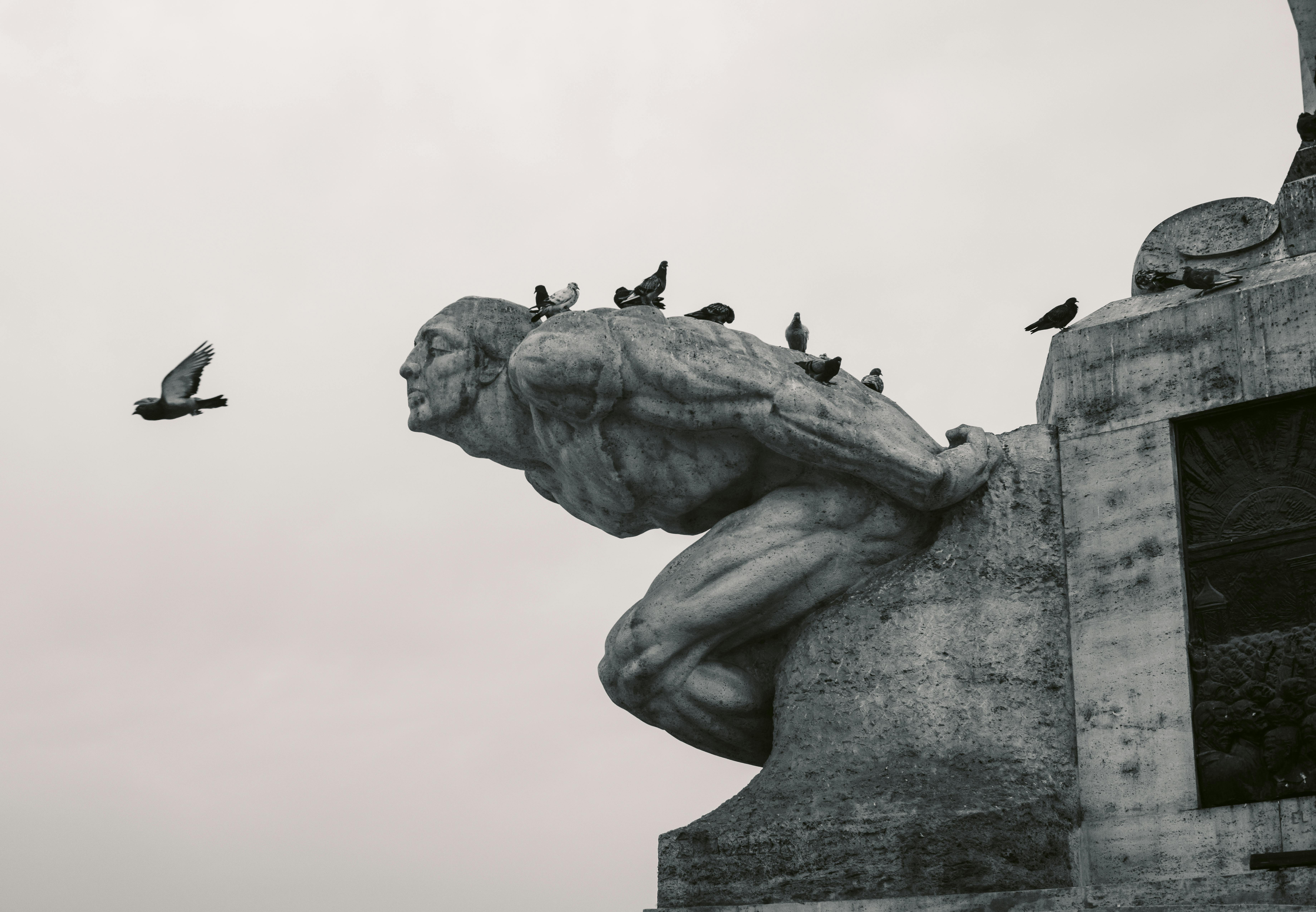 De franc Una poderosa escultura de pedra amb coloms posats sota un cel apagat. Foto d'estoc