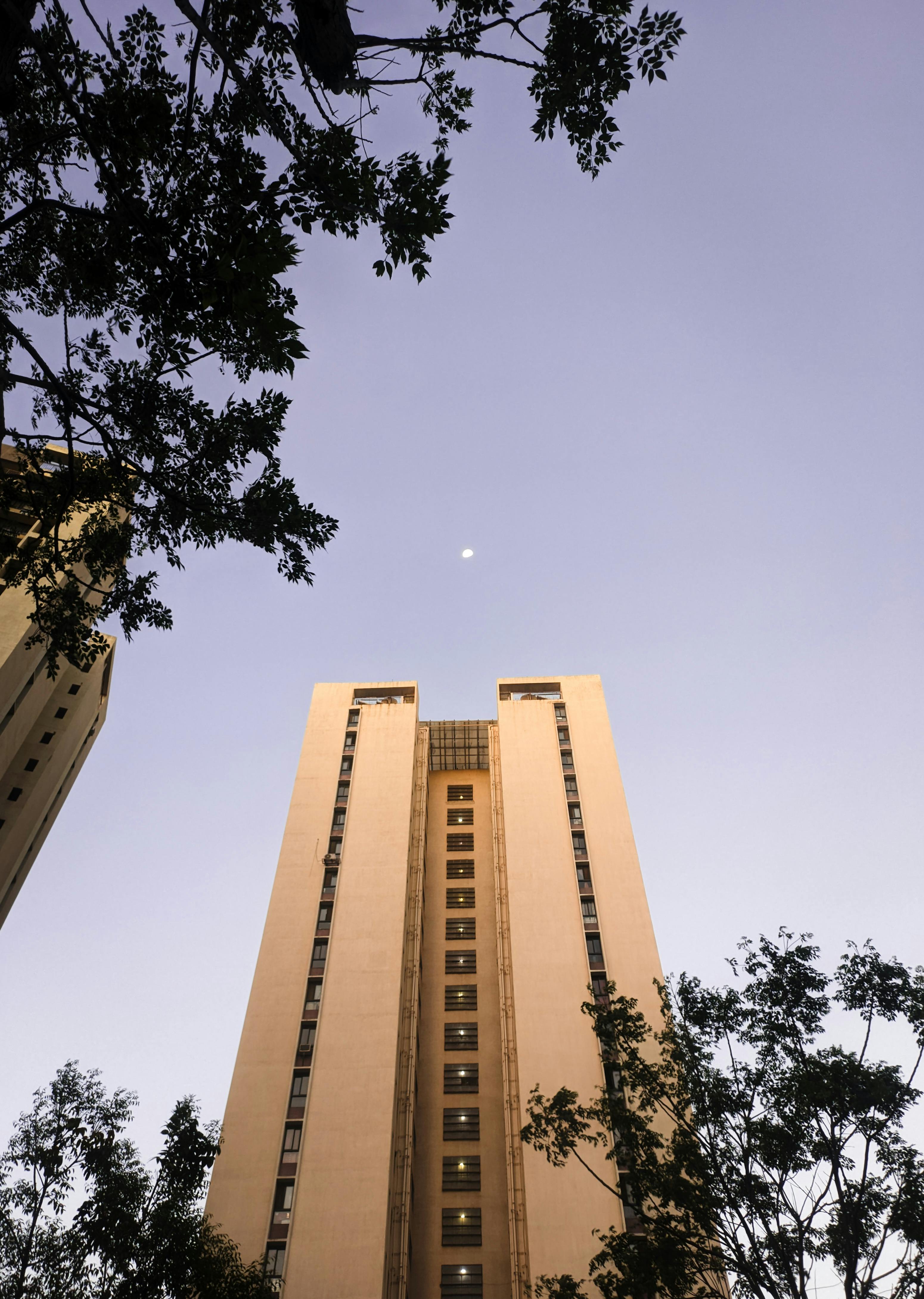 Gratis Un rascacielos se alza imponente contra un cielo crepuscular, con la luna visible en lo alto, enmarcado por las ramas de los árboles. Foto de stock