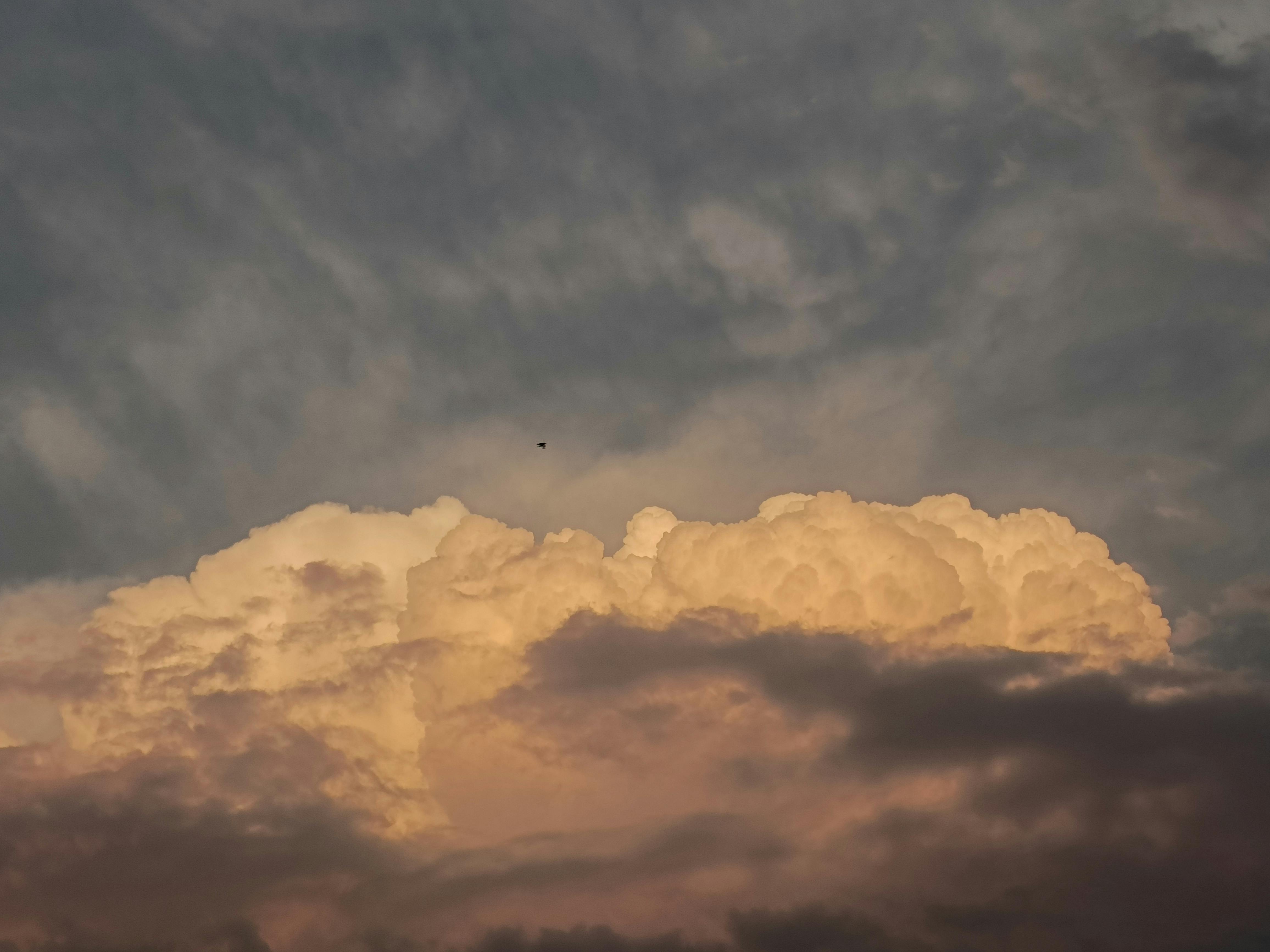 De franc Una vista captivadora d'un cel ennuvolat amb un ocell solitari volant a la posta de sol. Foto d'estoc