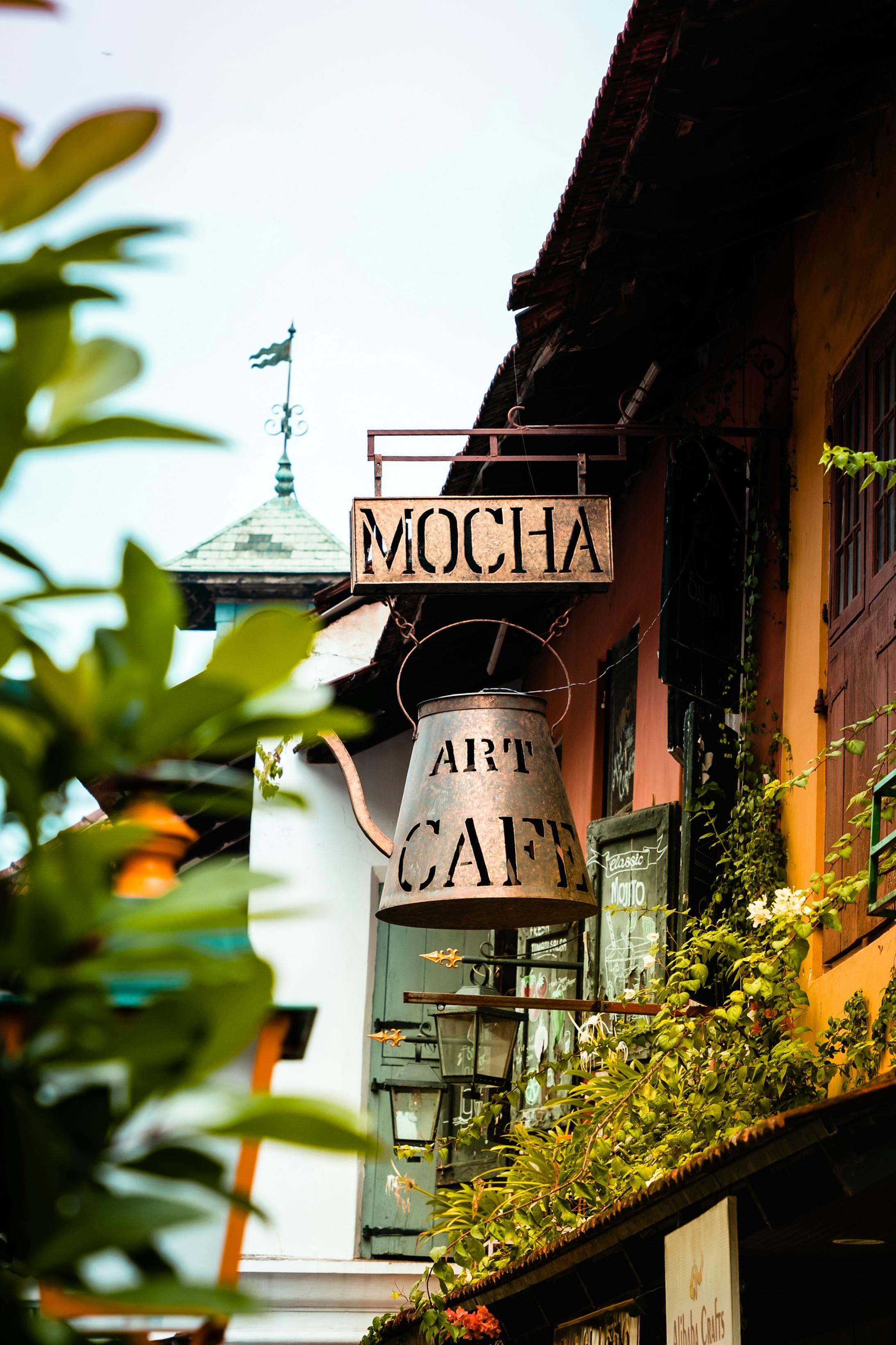 grátis Foto profissional grátis de @exterior, alerta, aparência Foto profissional