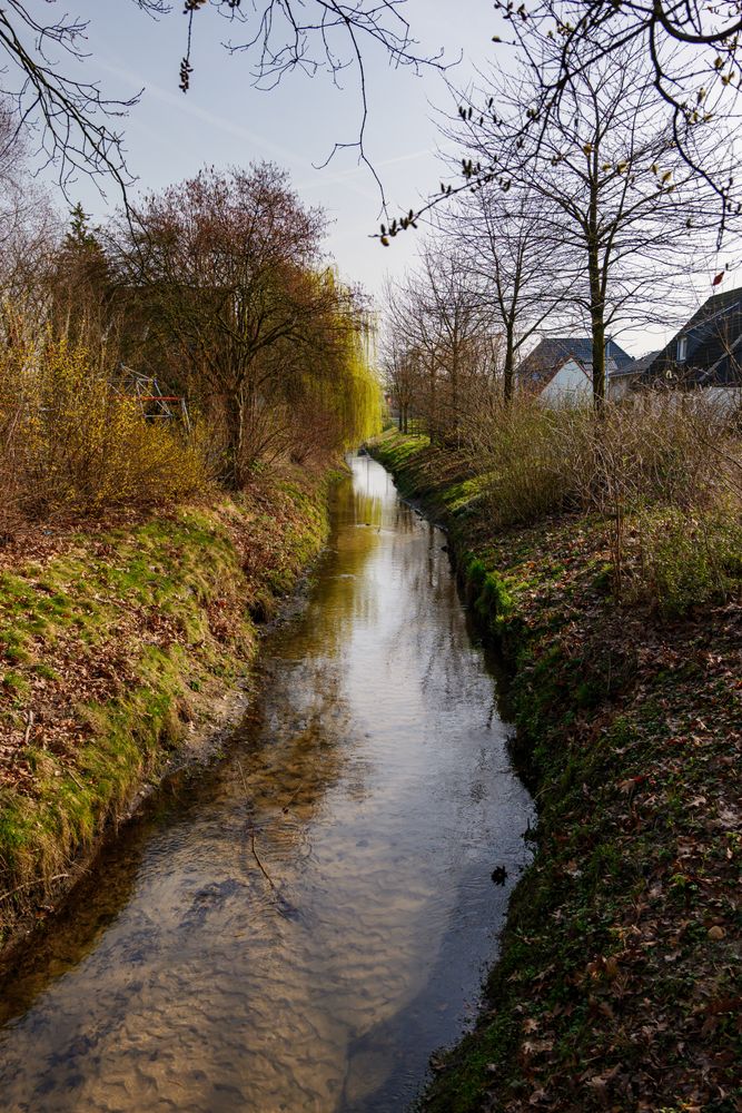 Watercourse Photos, Download The BEST Free Watercourse Stock Photos ...