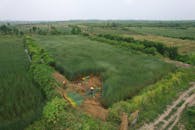 Aerial View of Farmers Harvesting in Lush Green Field