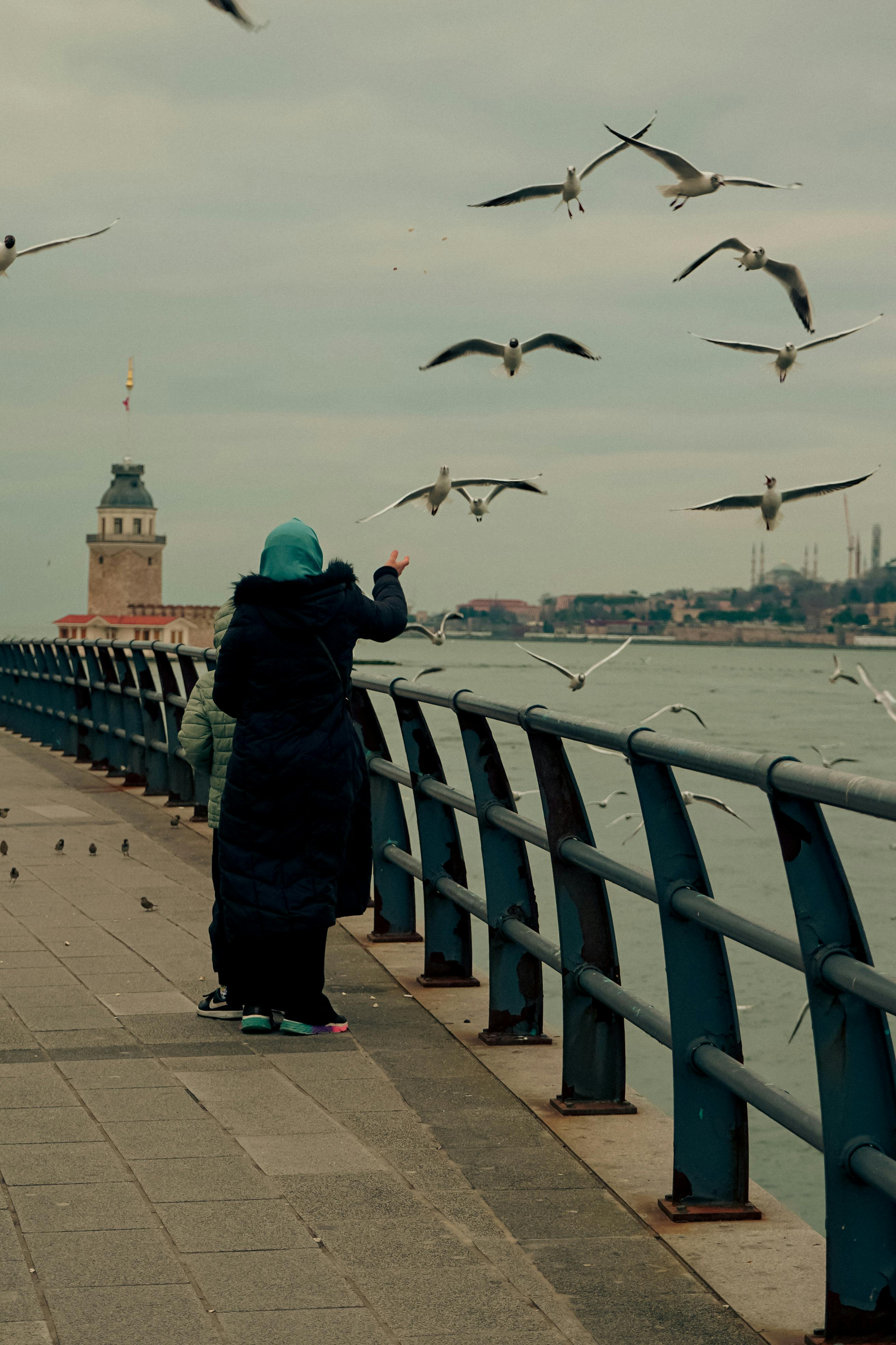 Bezpłatne Osoba karmiąca mewy nad morzem, niedaleko zabytkowej wieży, w pochmurny dzień. Zdjęcie z galerii