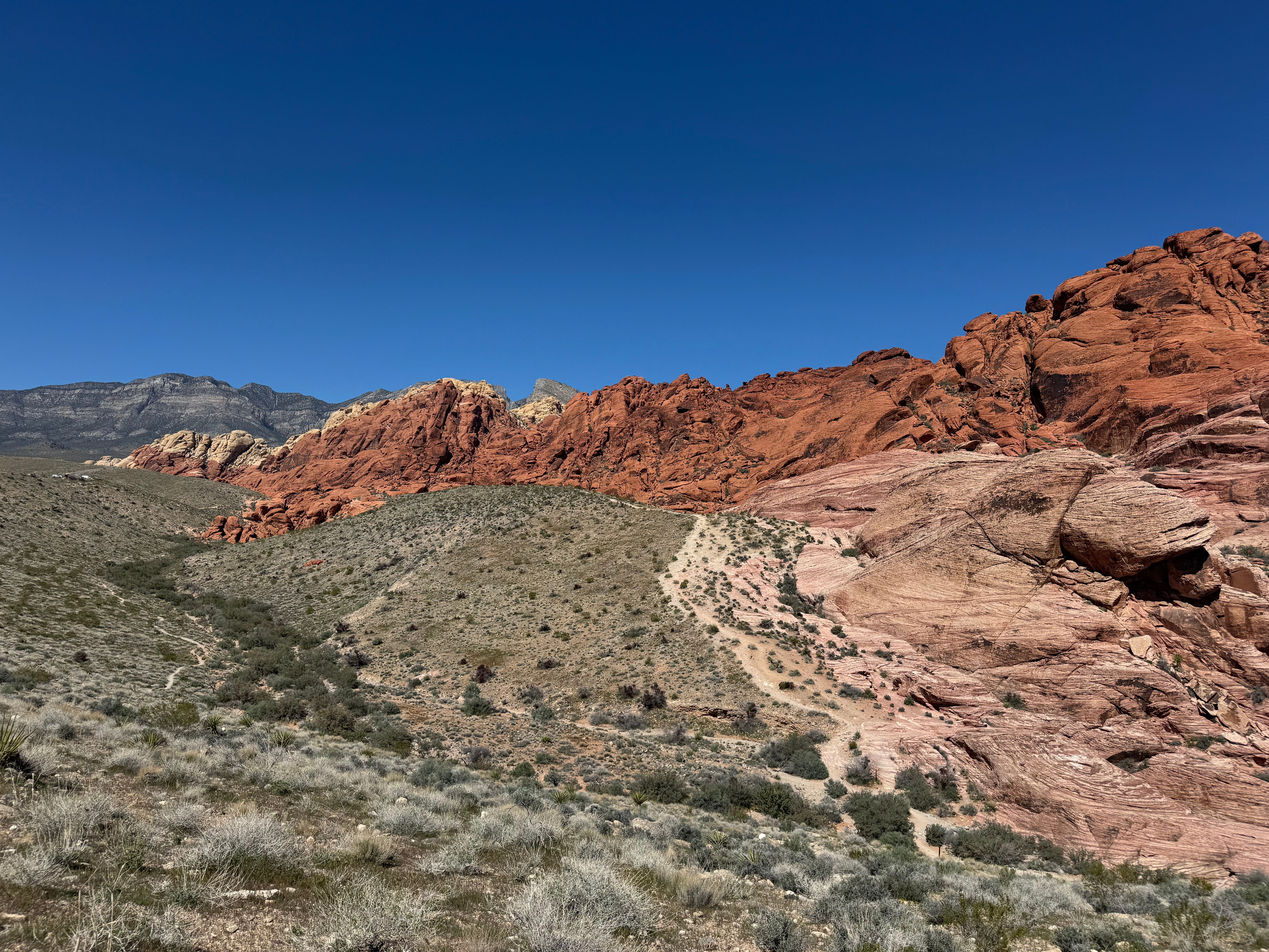 Stunning view of Red Rock Canyon showcasing its vibrant, layered sandstone formations against a clear blue sky.