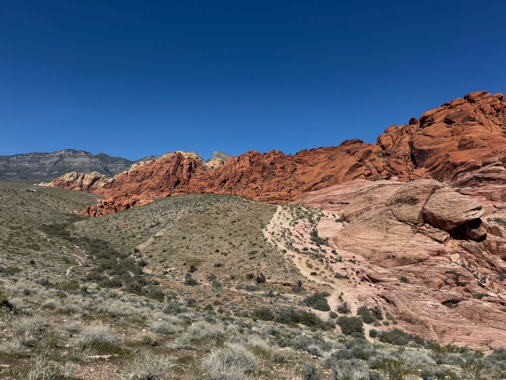 Landscape Photography Red Rocks Red Rock Canyon's Vibrant Desert Landscape · Free Stock Photo