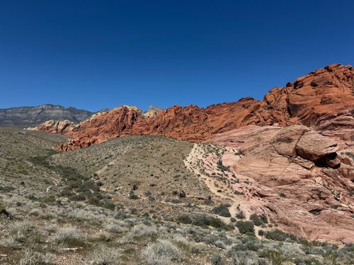 Free Stunning view of Red Rock Canyon showcasing its vibrant, layered sandstone formations against a clear blue sky. Stock Photo