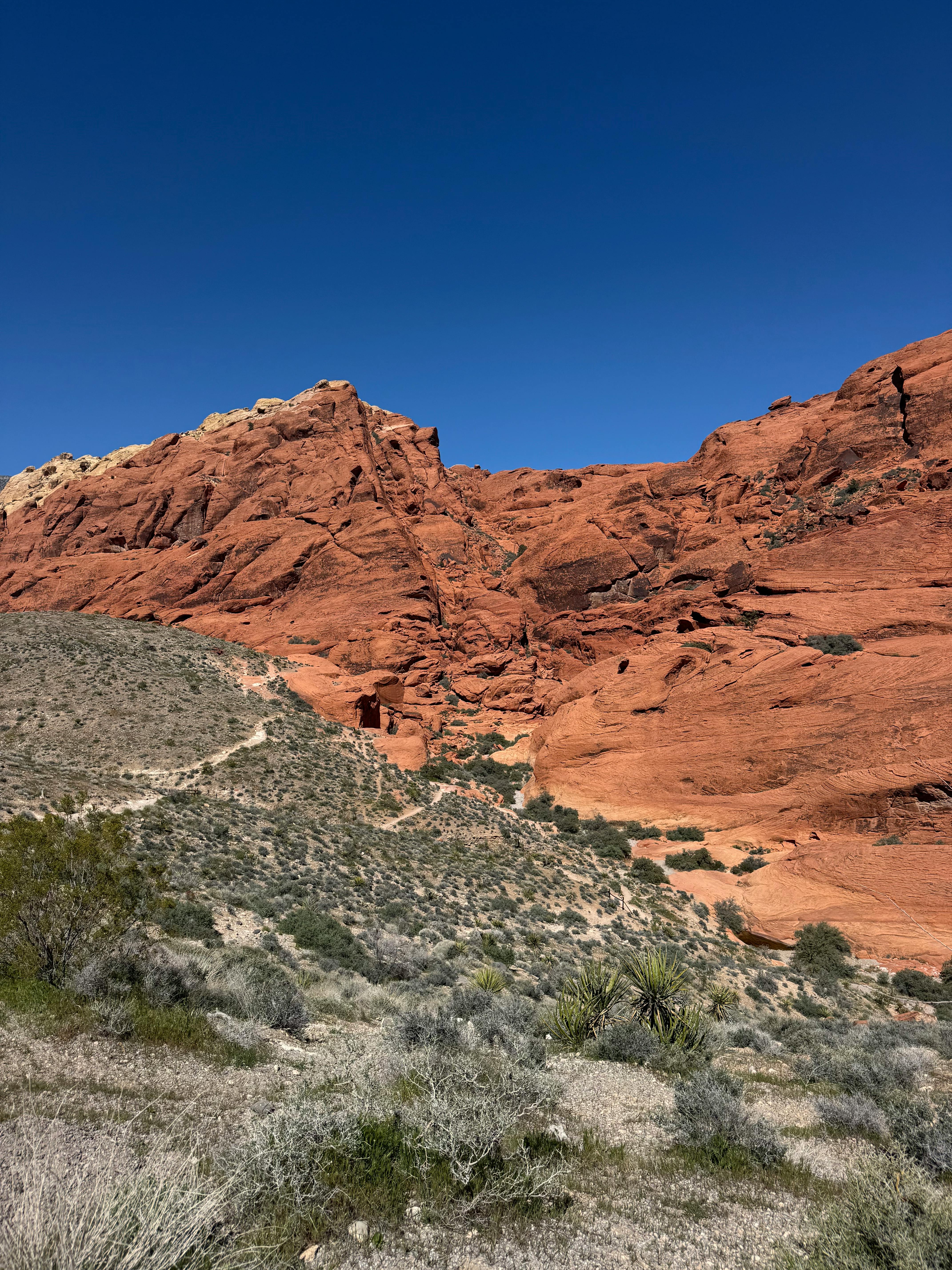 bezplatná Úžasný výhled na zářivé pískovcové útvary kaňonu Red Rock pod jasnou modrou oblohou. Základová fotografie