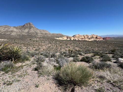 Free Wide-angle view of Red Rock Canyon in Nevada showcasing its rugged desert terrain and rocky formations. Stock Photo