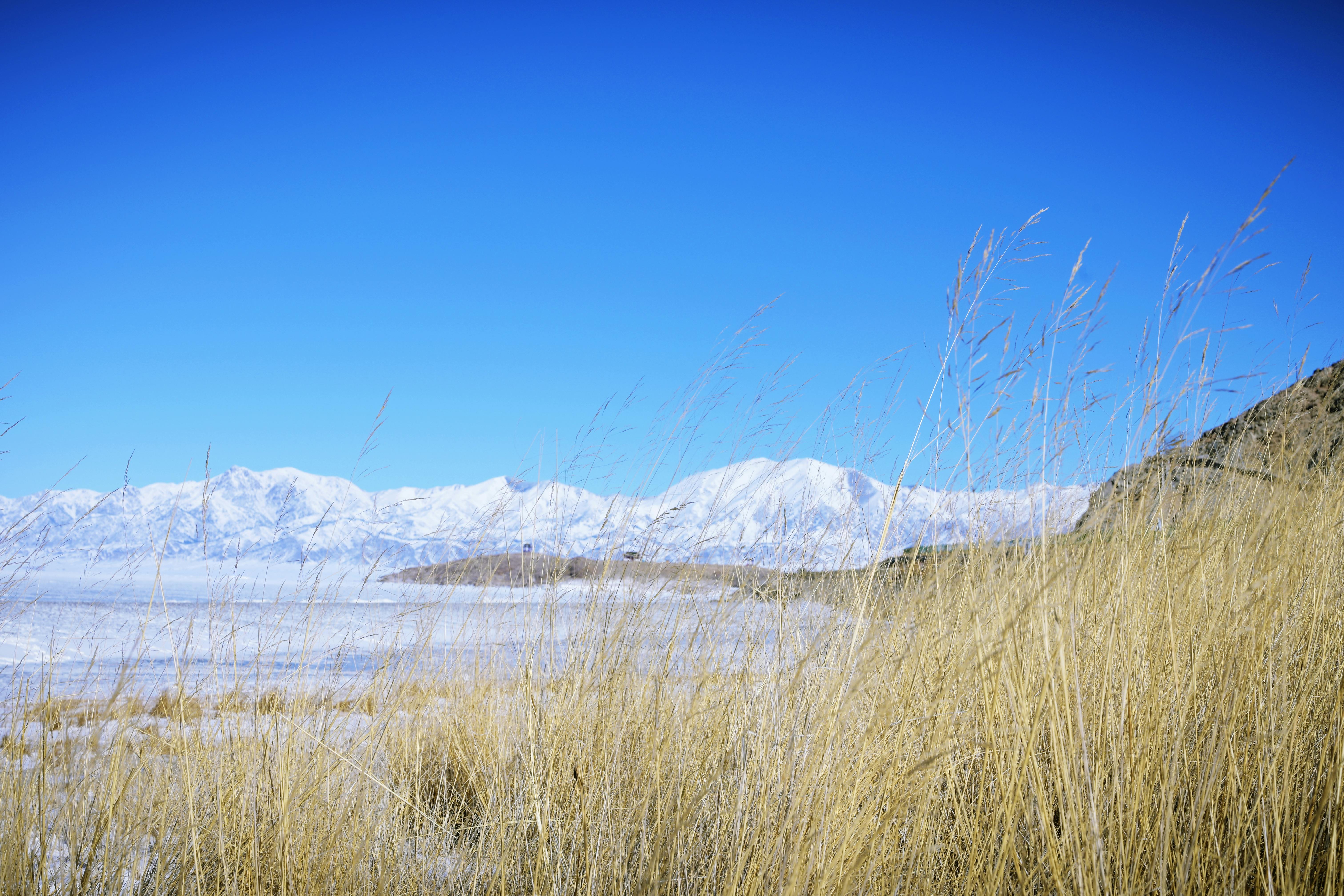 Miễn phí Cảnh tượng ngoạn mục của những ngọn núi phủ tuyết và những cánh đồng cỏ khô dưới bầu trời xanh trong vắt. Ảnh lưu trữ