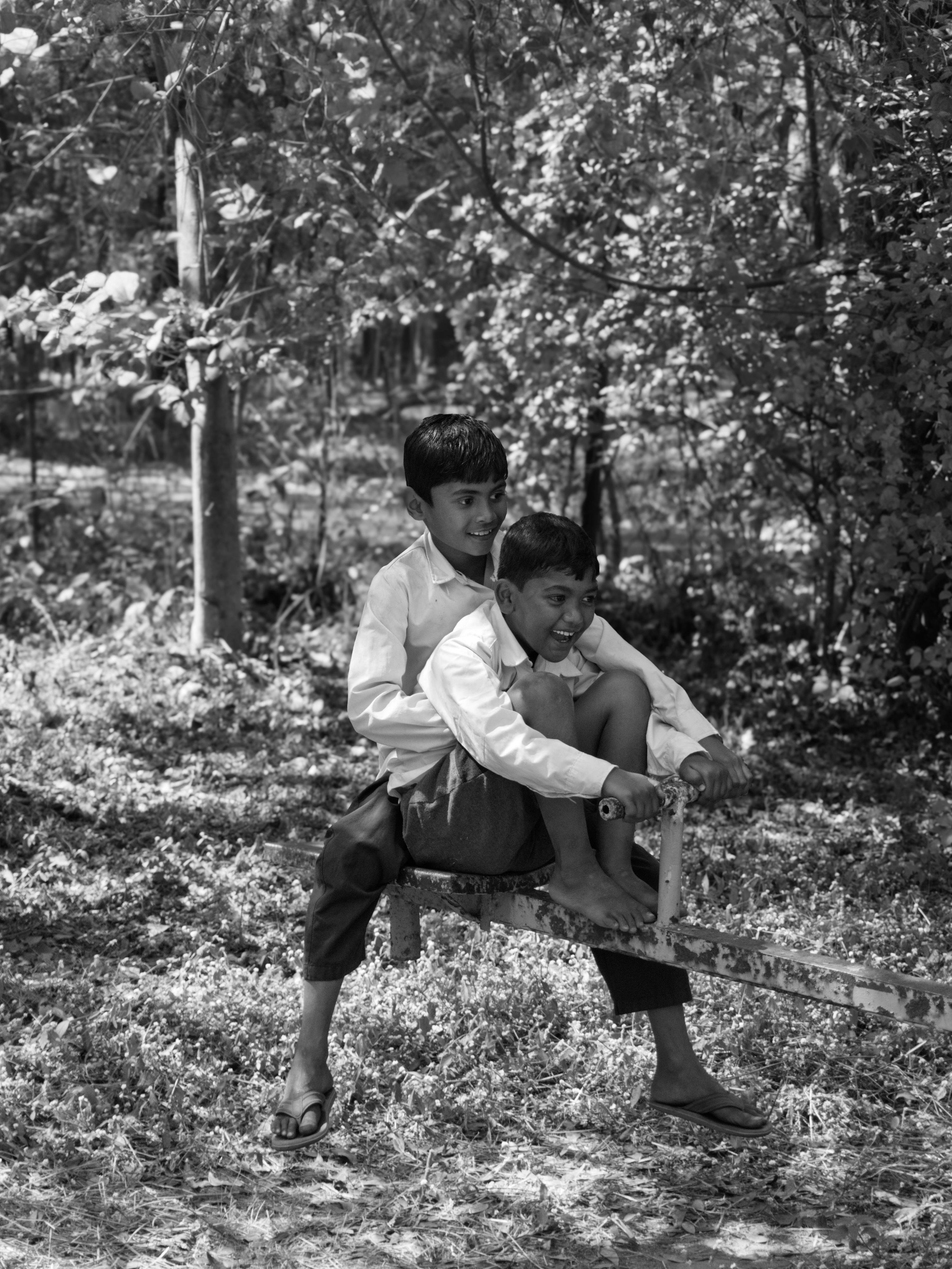 ฟรี คลังภาพถ่ายฟรี ของ กระดานหก, กลางแจ้ง, การผจญภัย คลังภาพถ่าย