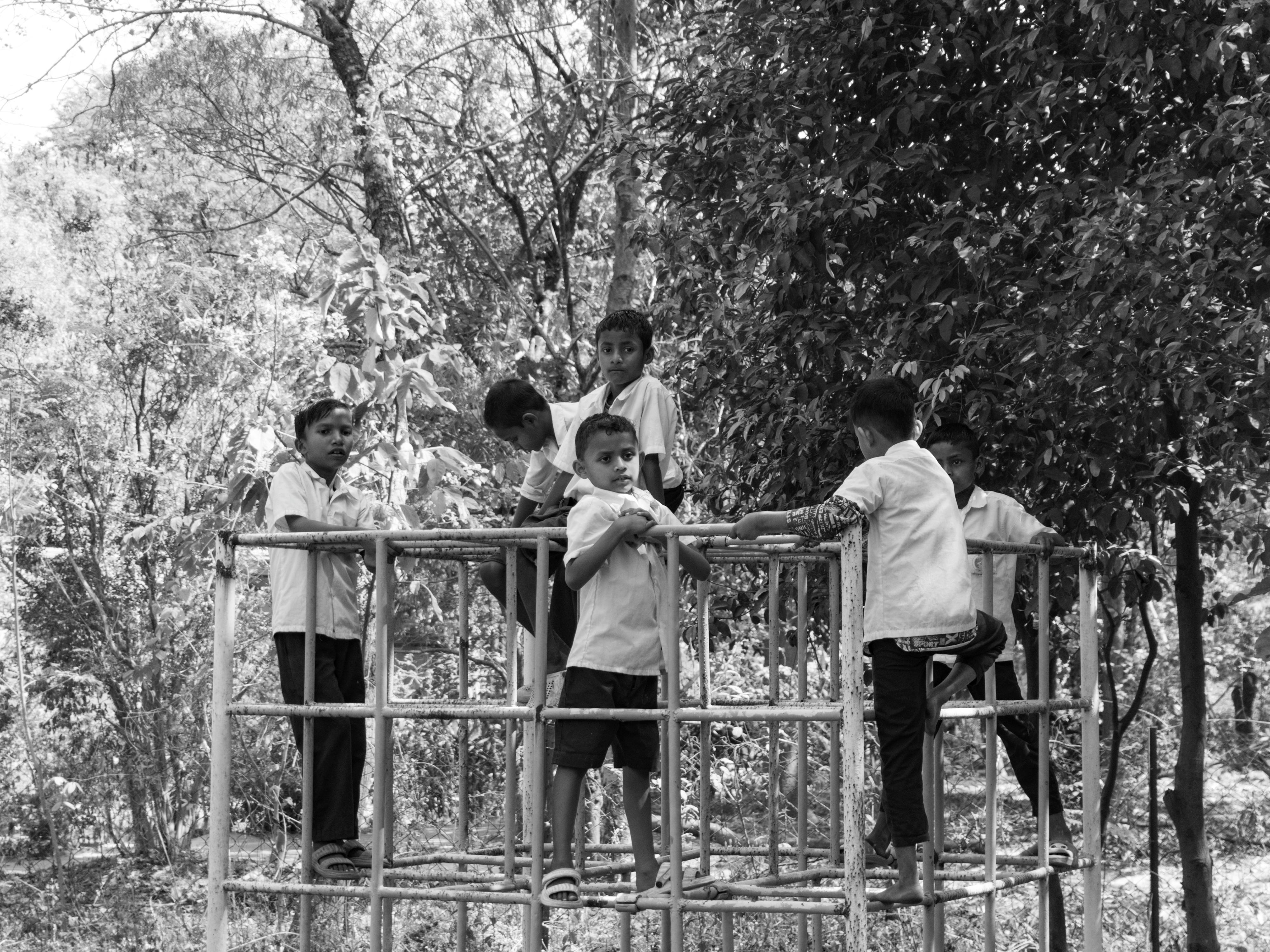 Miễn phí Ảnh lưu trữ miễn phí về Ấn Độ, bọn trẻ, cây Ảnh lưu trữ