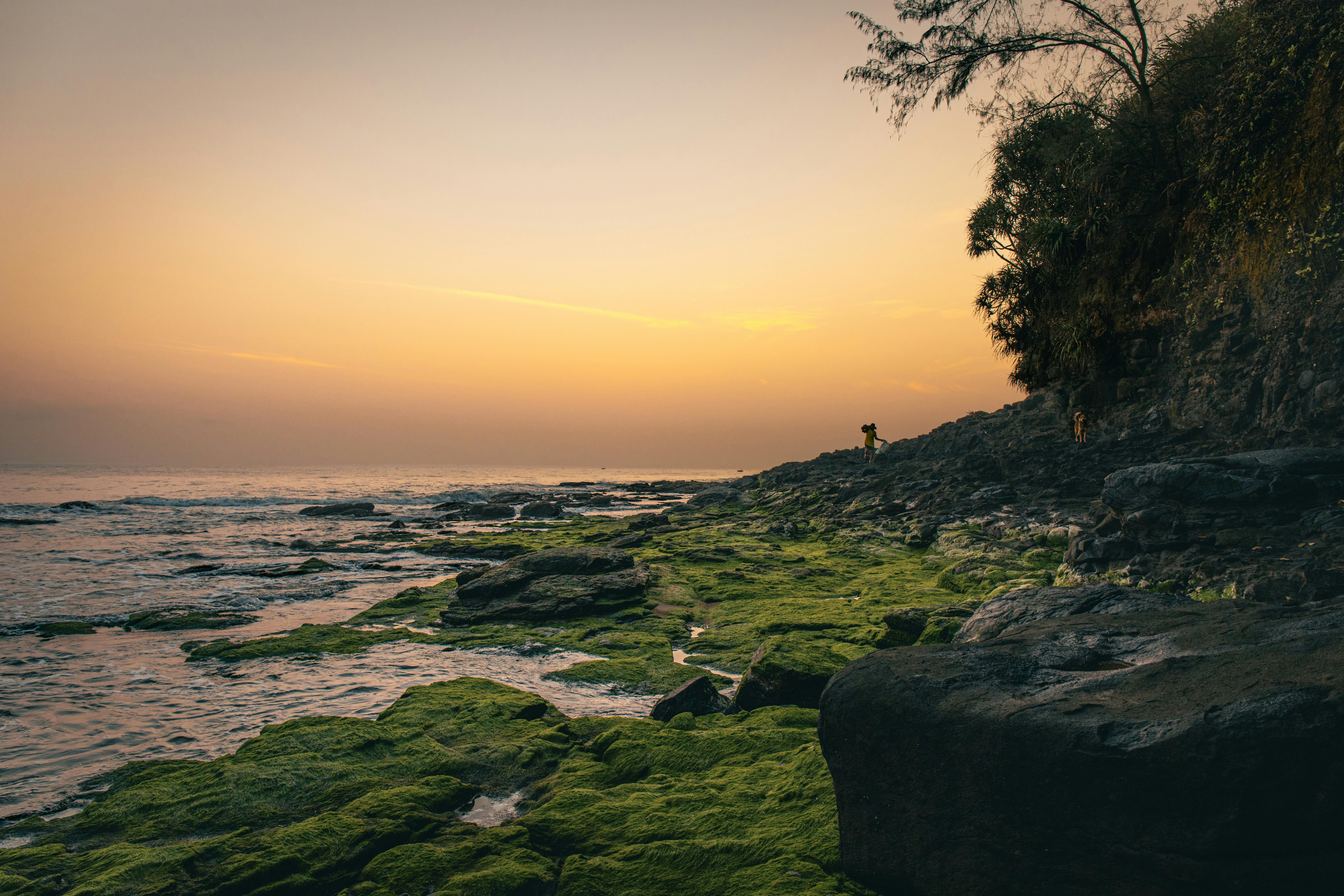 Gratis Serena scena di tramonto su una spiaggia rocciosa con vegetazione lussureggiante. Perfetta per temi di viaggio e natura. Foto a disposizione