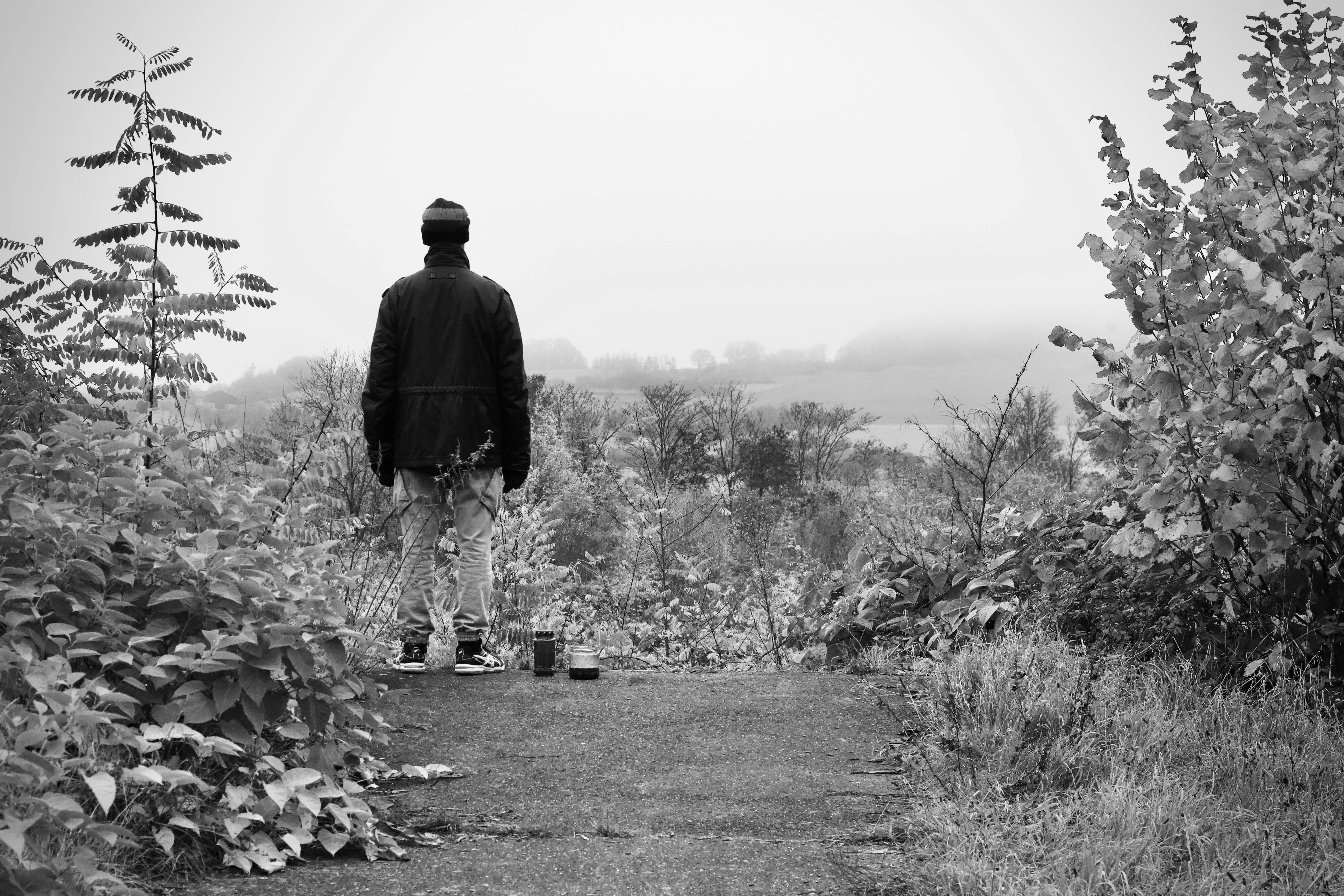 Gratis En person står alene overfor et tåkete landskap i svart-hvitt. Arkivbilde