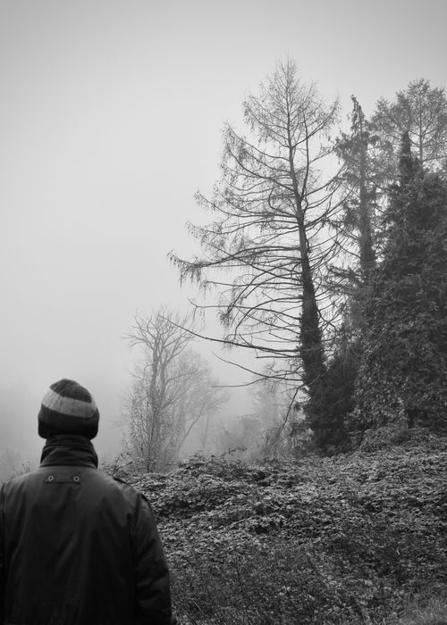 Free A solitary figure stands in a foggy woodland, capturing the serene mood of a misty fall morning. Stock Photo
