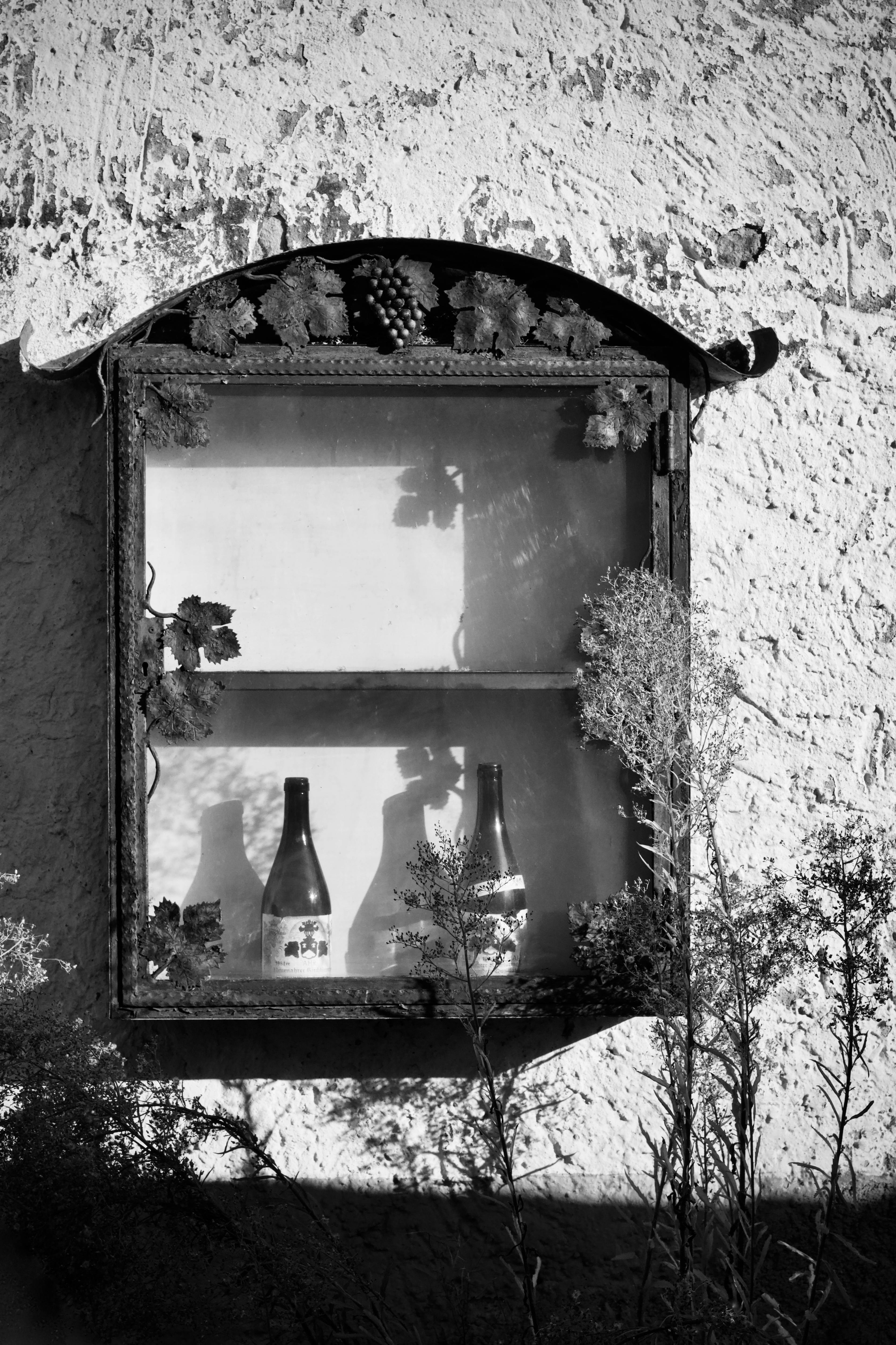 Free Black and white photo of wine bottles on a vintage shelf with a rustic background. Stock Photo