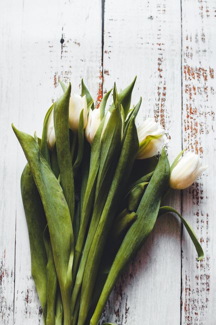 A beautiful bouquet of white tulips with green leaves on a rustic wooden background, perfect for spring themes.