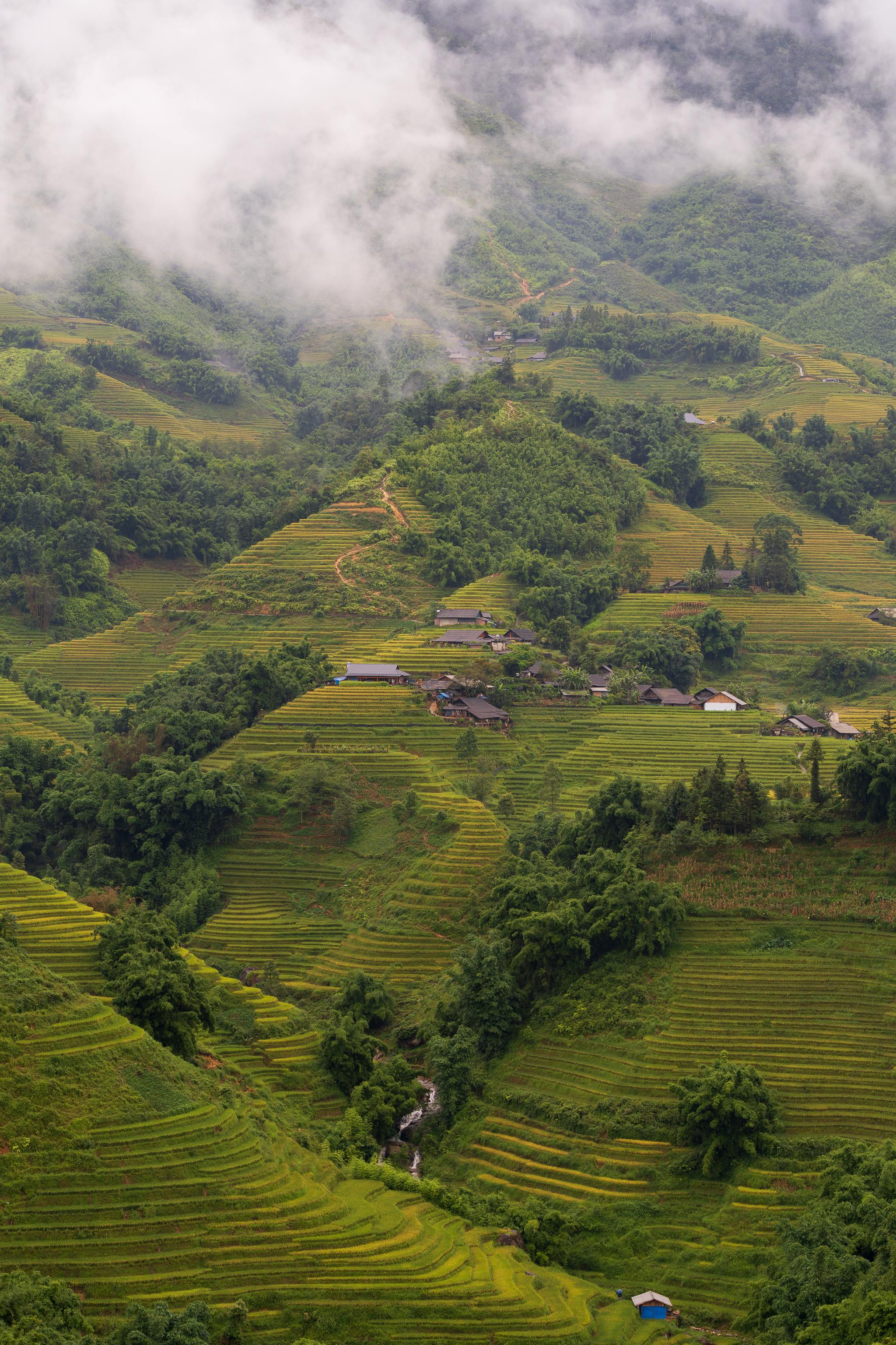 grátis Foto profissional grátis de aéreo, agrícola, agricultura Foto profissional