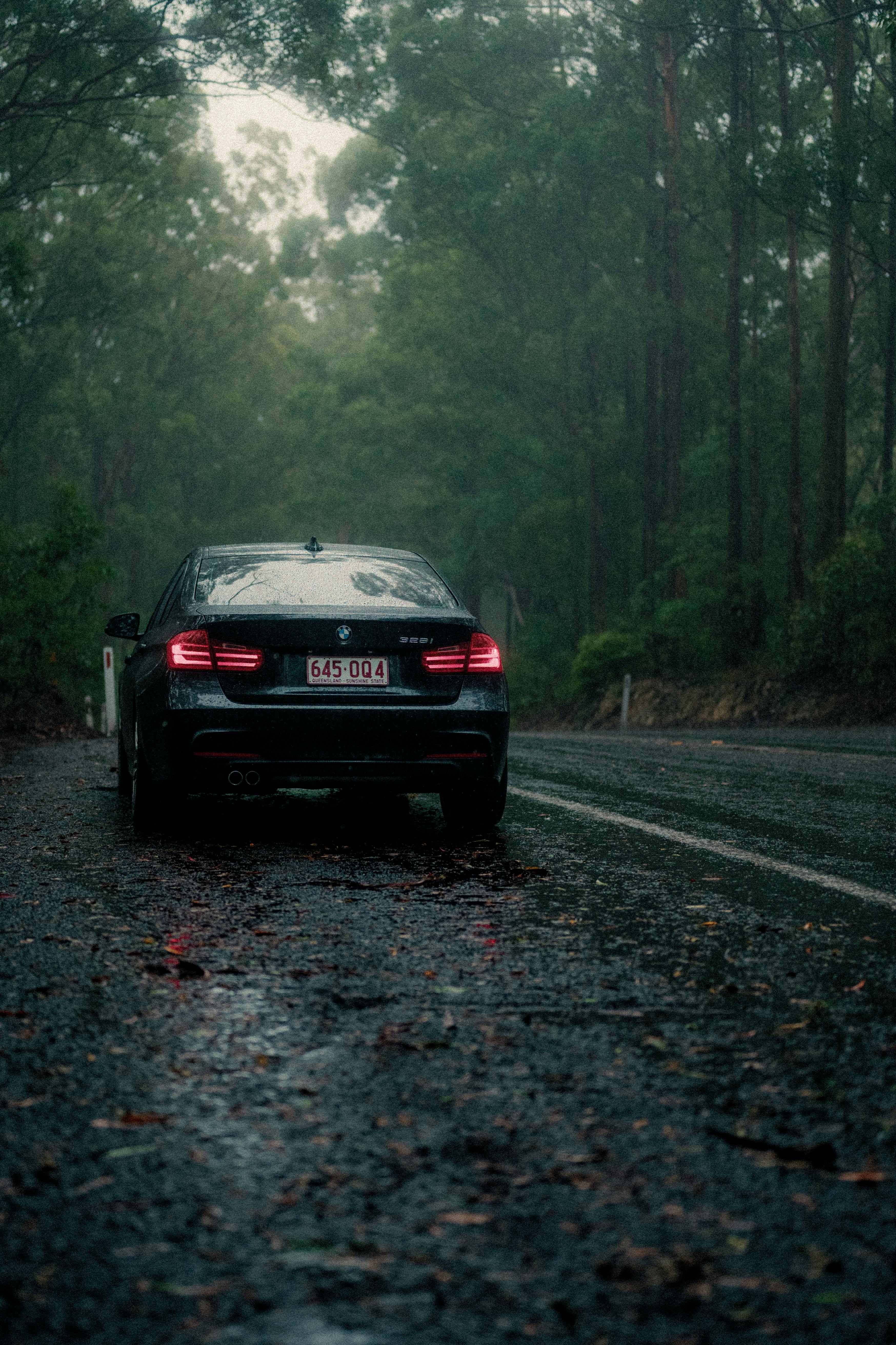 Gratis Un'elegante auto percorre una strada forestale bagnata nel Queensland, rispecchiando il tempo inclemente. Foto a disposizione