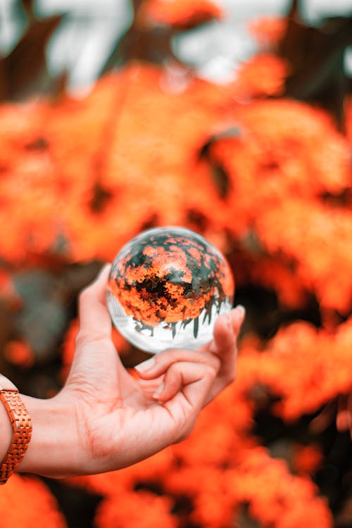 Free Photo of Person's Hand Holding Lensball Stock Photo