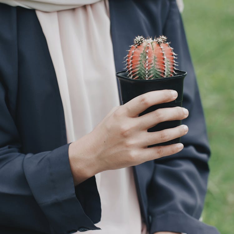 Person Holding Potted Plant